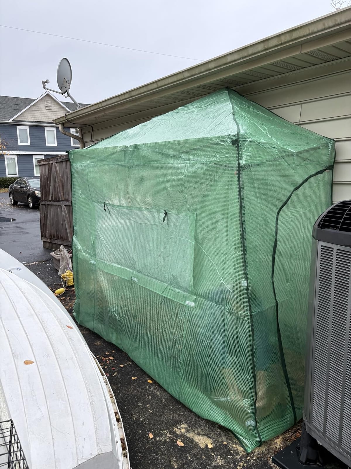 EAGLE PEAK 12x8 Easy Setup Pop Up Greenhouse, Support Pole, Clear/Green customer photo 2