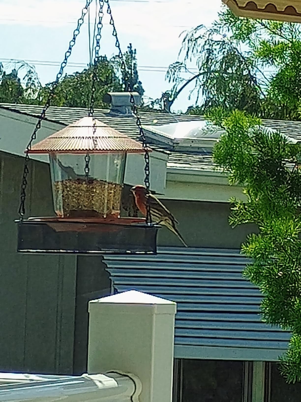 Hanizi Bird Feeder Outdoor Hanging for Wild Bird Seed, Brown customer photo 2