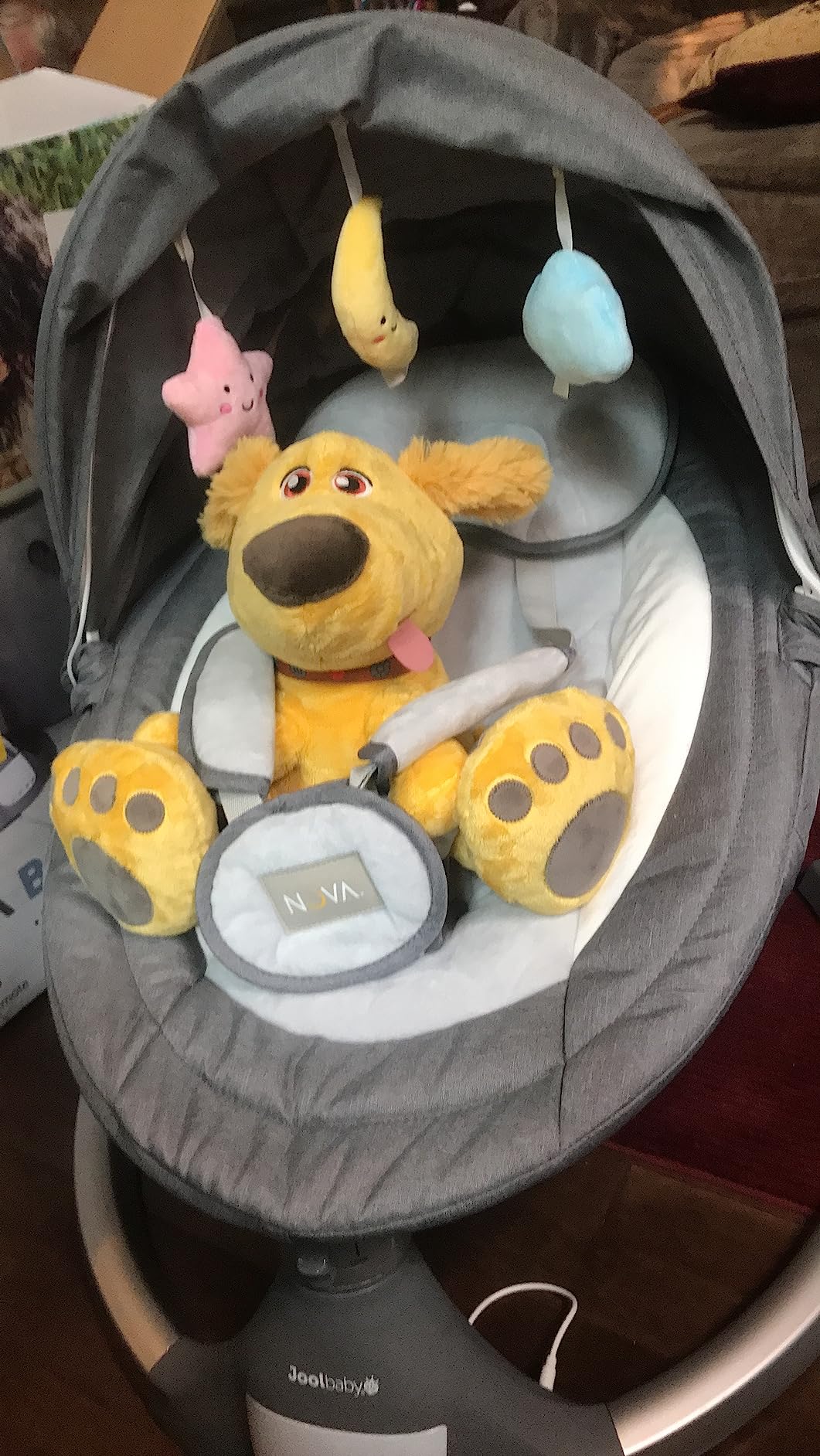 Jool Baby Nova Baby Swing for Infants – Bluetooth Music, Remote (Gray) customer photo 2