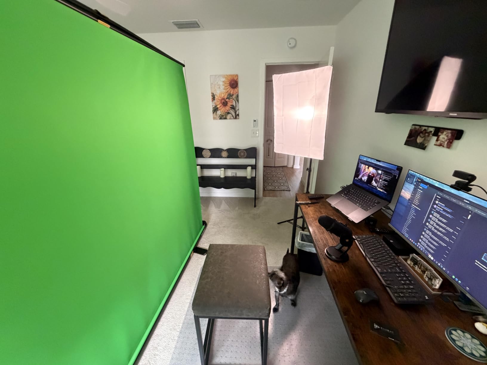 【Wider Style】 RAUBAY 78.7 x 82.7in Large Collapsible Green Screen Backdrop | Portable Retractable Chroma Key Panel Photo Background with Stand for Video Conference, Photographic Studio, Streaming customer photo 2