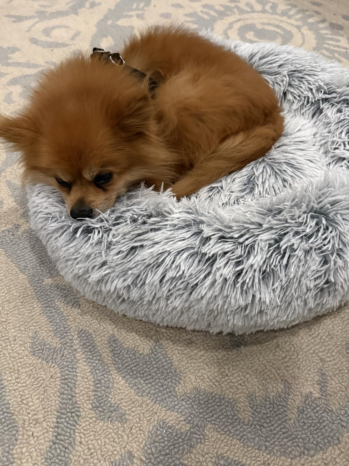 Western Home Calming Soft Round Dog &Cat Bed Small Dog Bed Washable,20