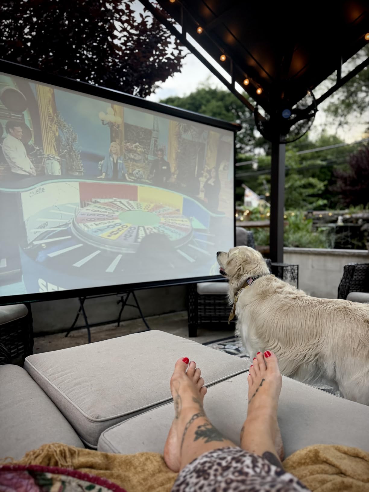 VIVOHOME 80 Inch 16:9 Pull Down Projector Screen, White customer photo 1