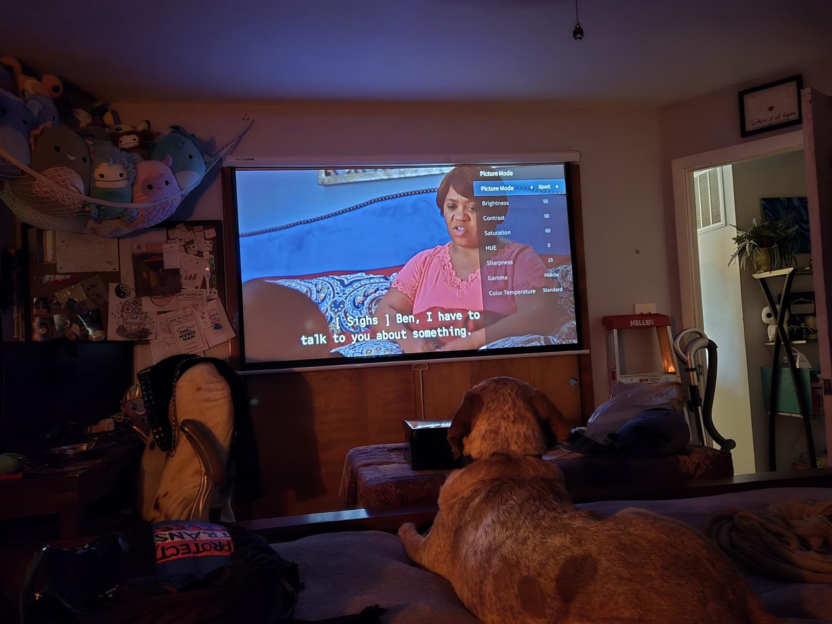 VIVOHOME 80 Inch 16:9 Pull Down Projector Screen, White customer photo 2