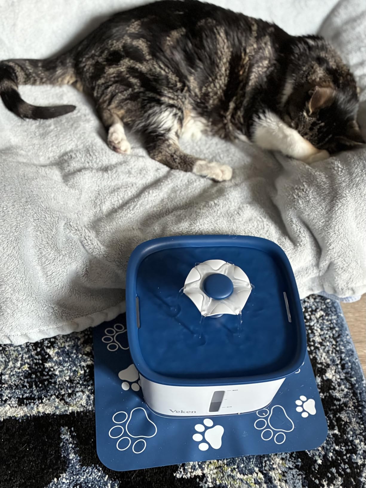 Veken Innovation Award Winner 95oz/2.8L Cat Water Fountain, C1 Classic customer photo 1