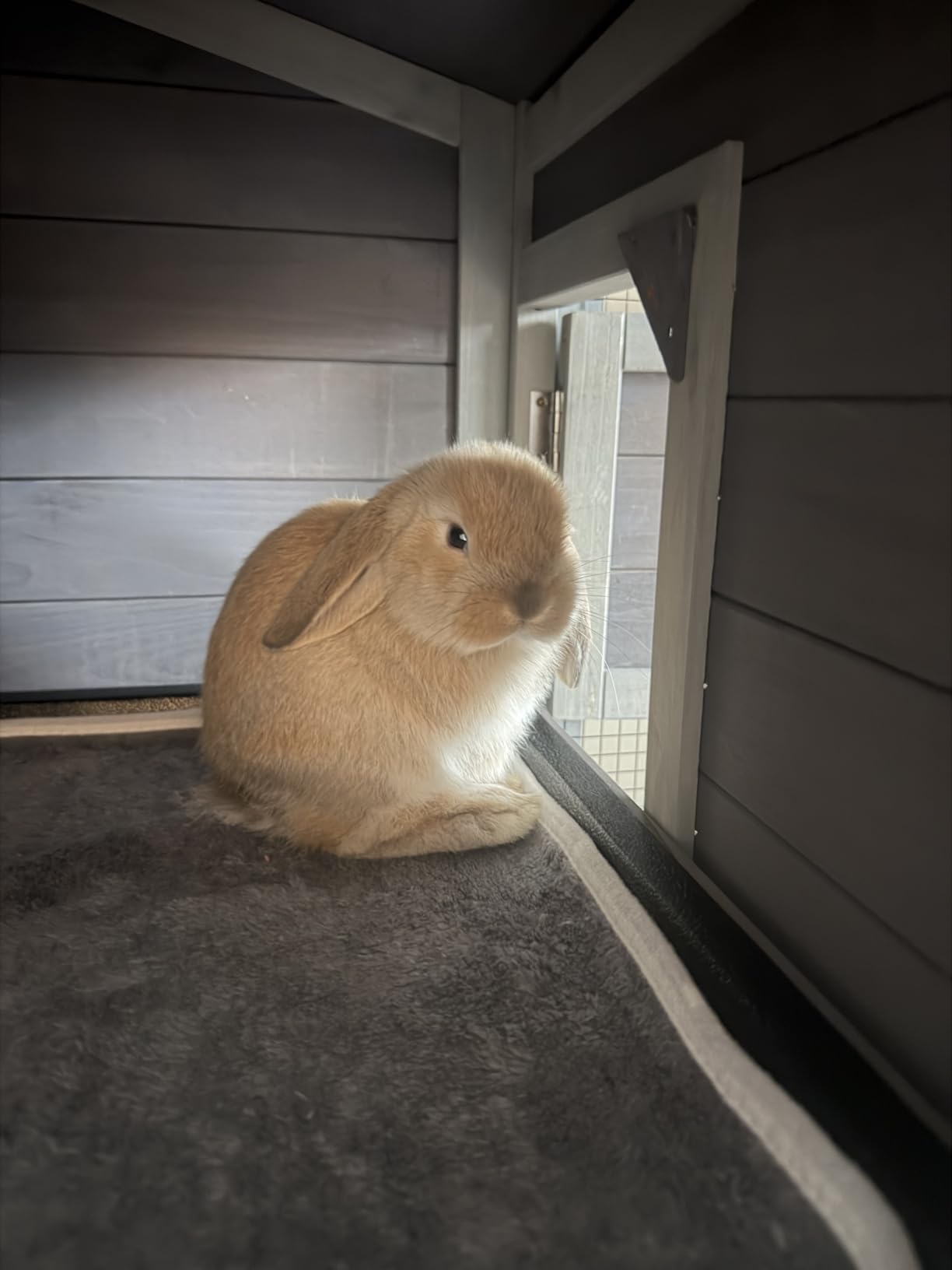 Bunny Cage Indoor and Outdoor Rabbit Hutch with Casters Waterproof Roof, Pull Out Tray from Back and Front 61.2