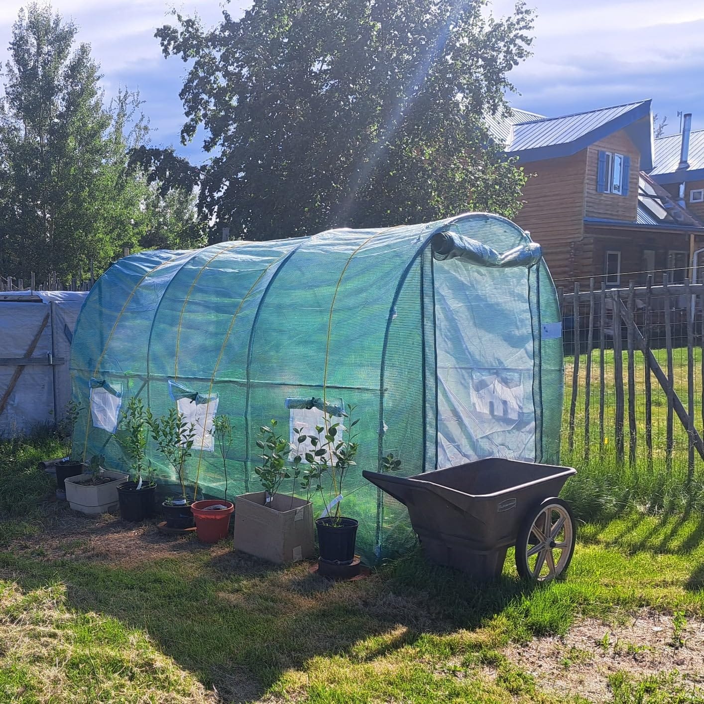 KING BIRD Premium 10x7x7FT Greenhouse for Outdoors, Galvanized Steel Frame customer photo 1