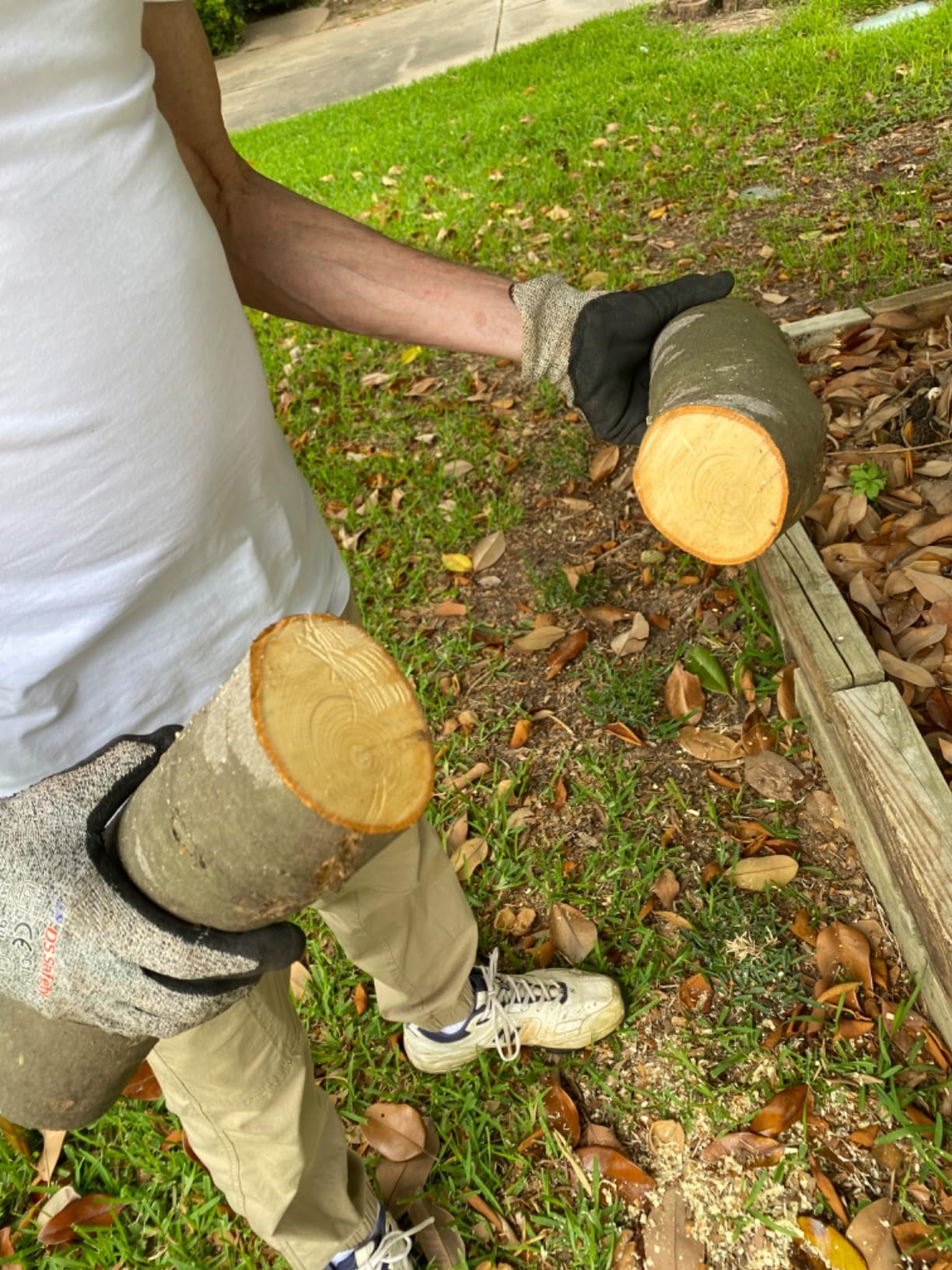 SKIL PWR CORE 20 Brushless 20V 12'' Handheld Lightweight Chainsaw Kit with Tool-free Chain Tension & Auto Lubrication, Includes 4.0Ah Battery and Charger-CS4562B-10 customer photo 1