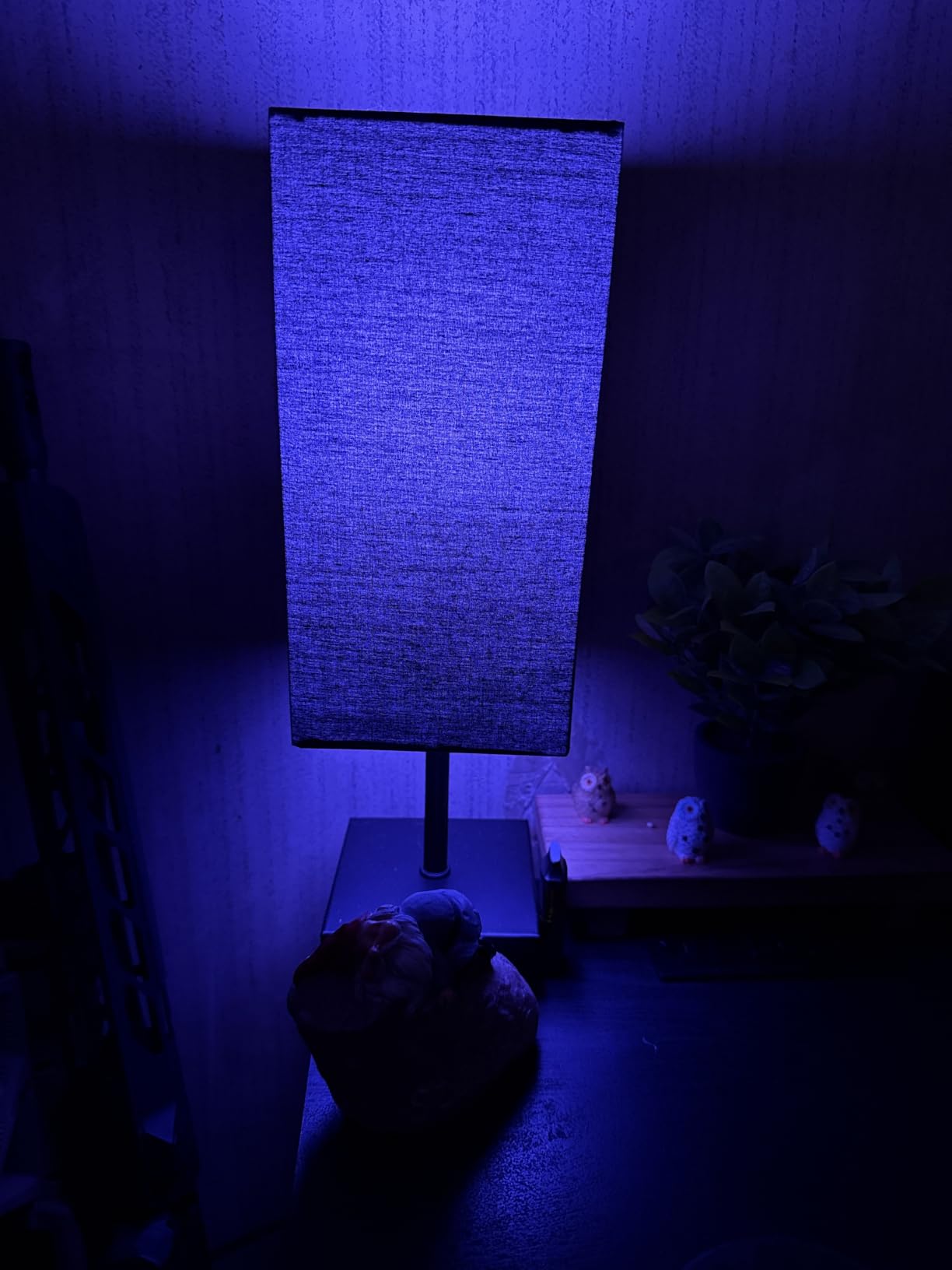 Bedside Table Lamp for Bedroom with 2 USB Ports, 14-Inch, Black customer photo 2