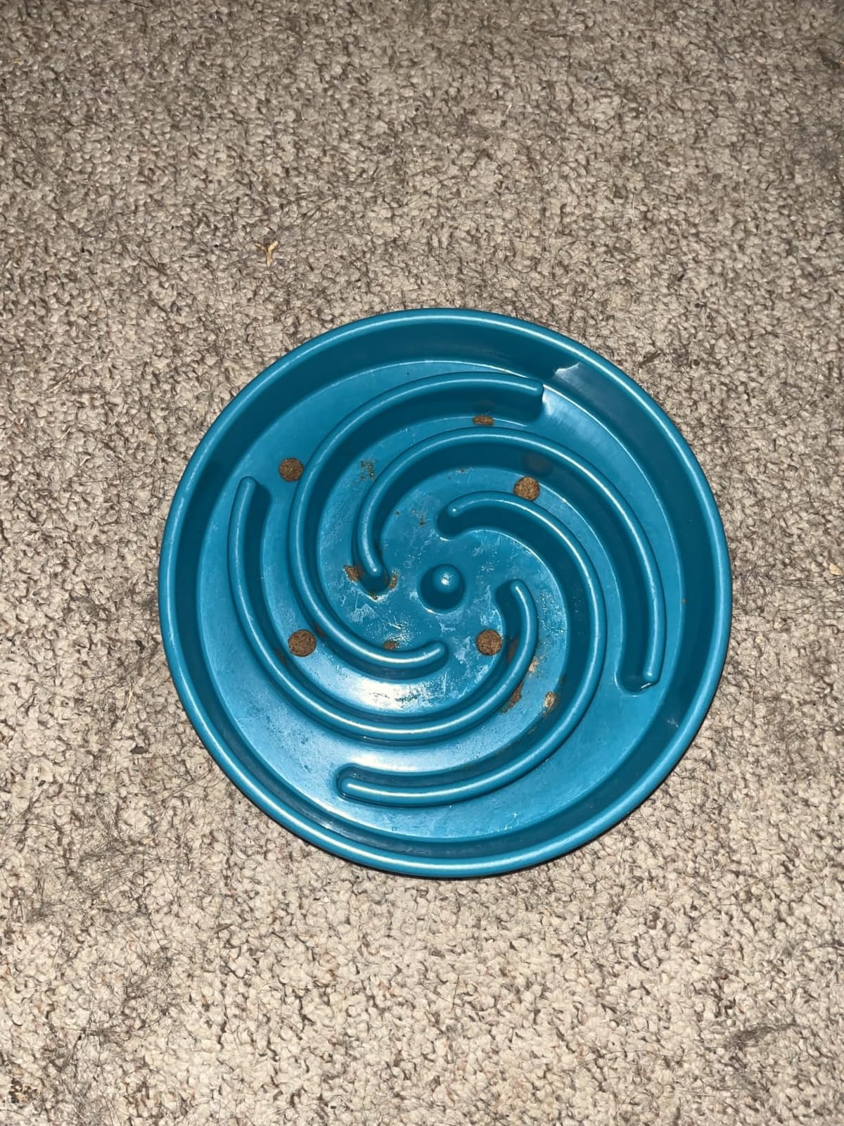 JASGOOD Slow Feeder Dogs Bowl for Large Medium Dogs,Anti-Gulping Pet Slower Food Feeding Bowls Stop Bloat,Preventing Choking customer photo 1