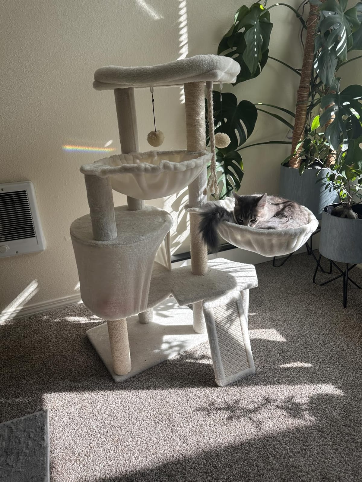 Three Layer Cat Tree with Cat Condo and Two Hammocks,Grey customer photo 1