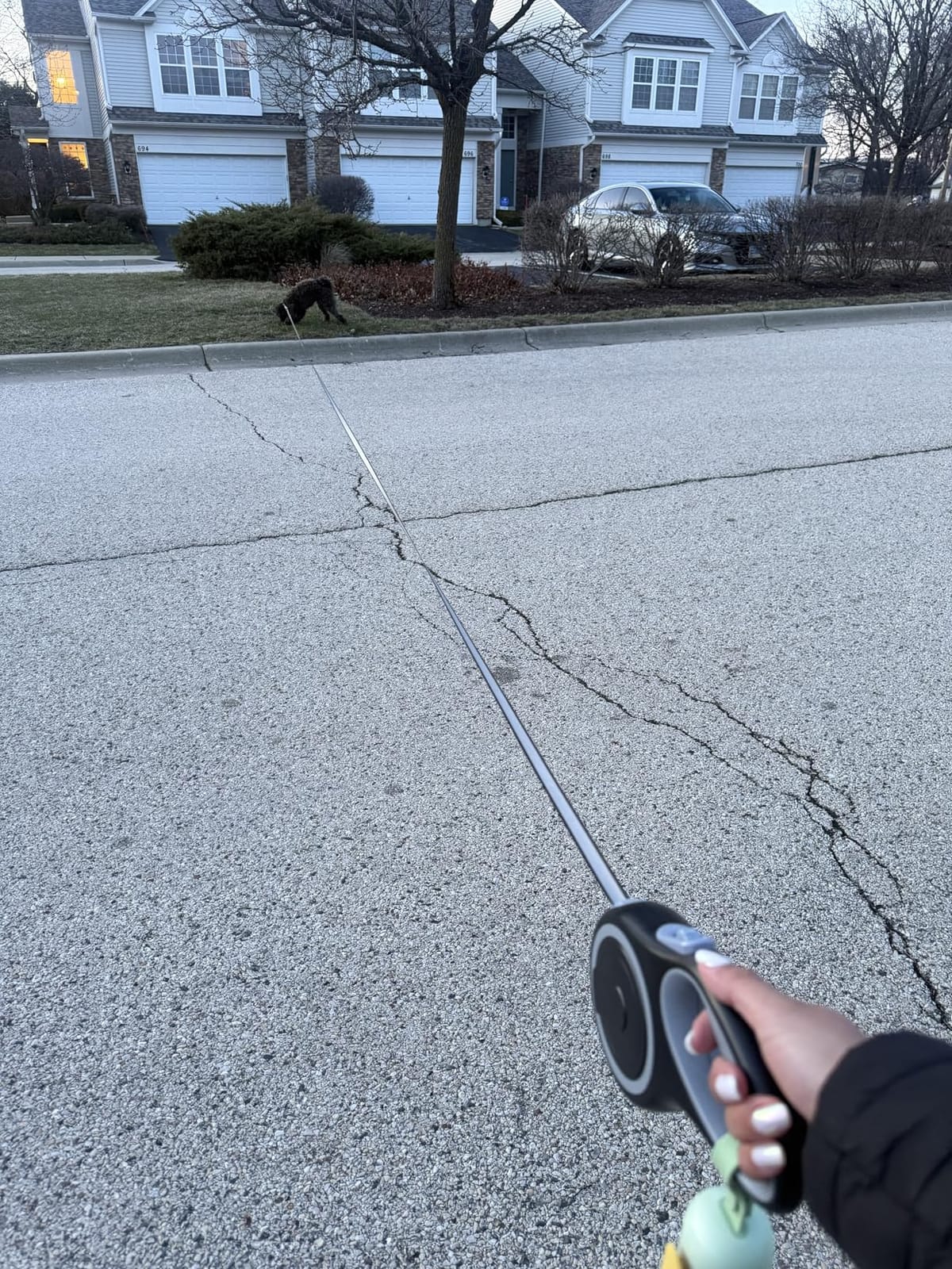 26Ft Retractable Dog Leash, Heavy Duty Great Leash for Dog up to 110 lbs, Anti-Slip Rubberized Handle, One-Handed Brake, Strong Nylon Tape, Tangle Free(Large Size). customer photo 2