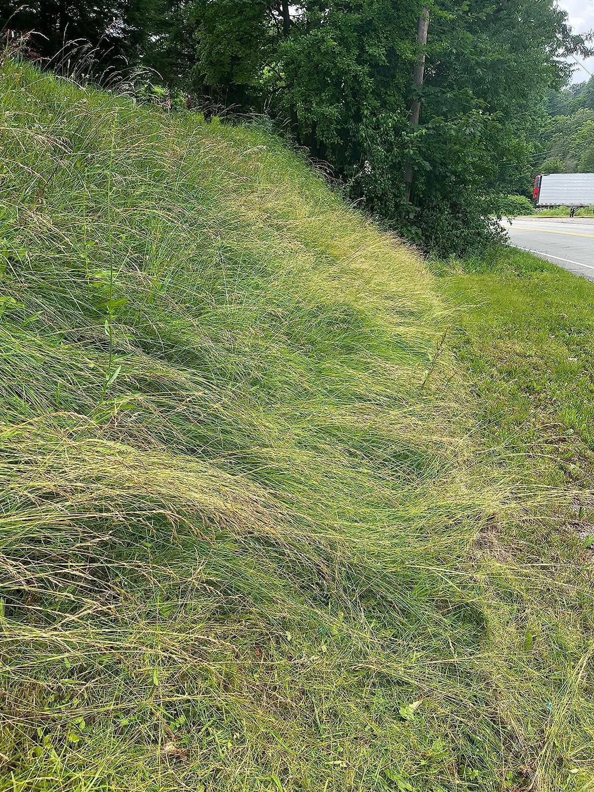 EGO POWER+ 16