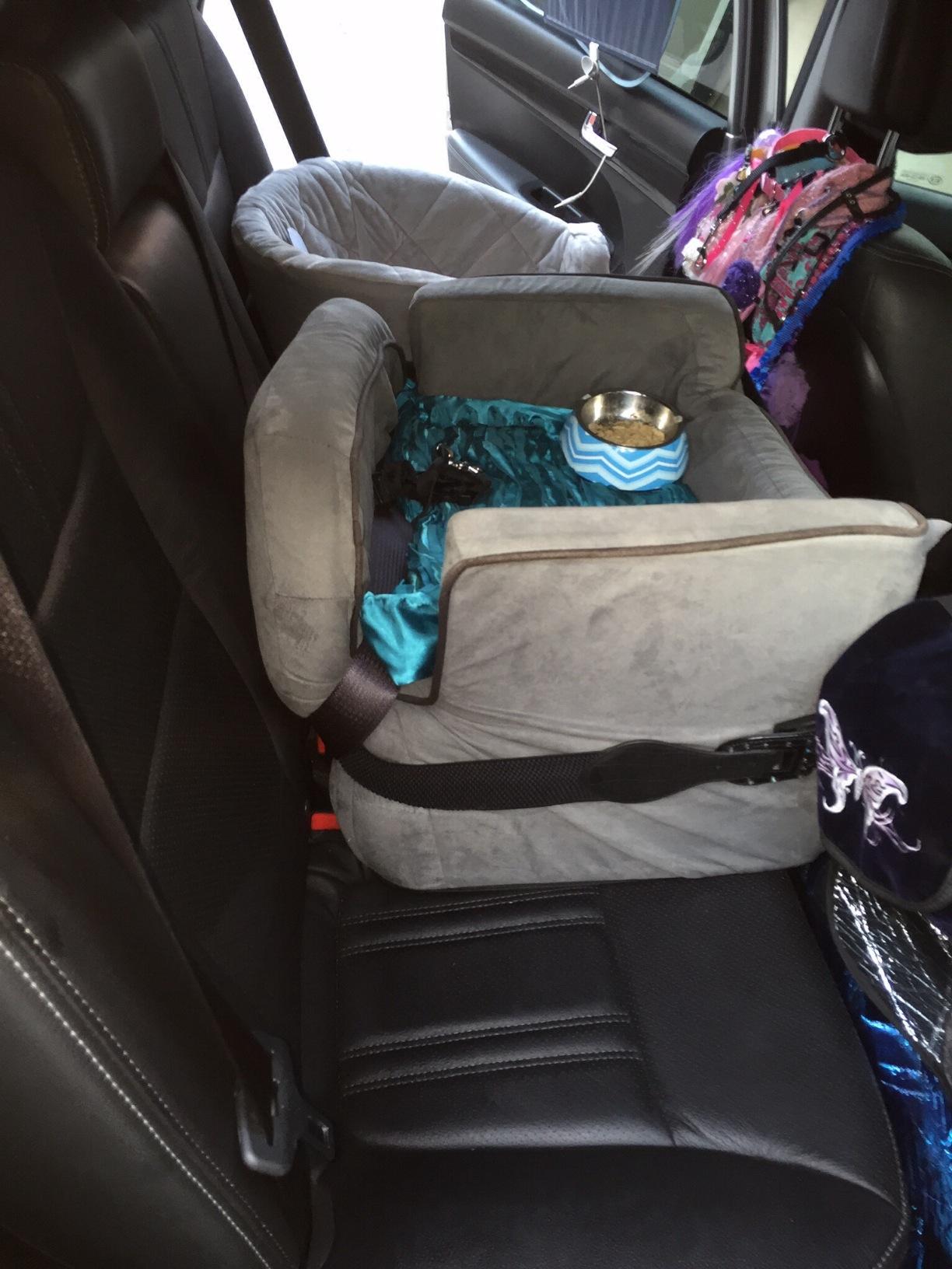 K&H Dog Car Seat, Bucket Booster for Cats & Dogs, Small, Black/Cream customer photo 2