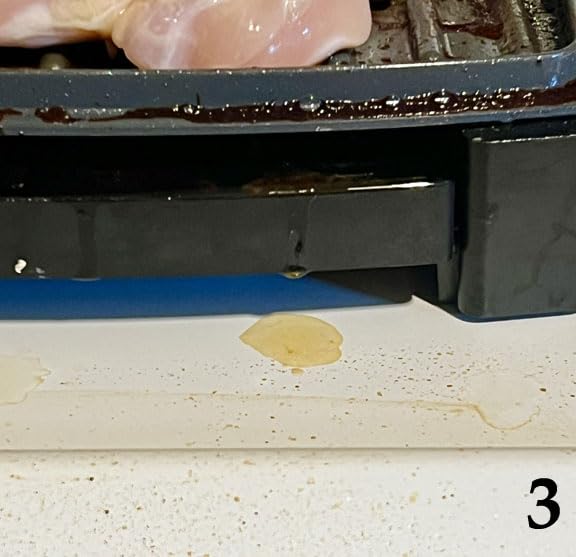 George Foreman Fully Submersible 4-Serving Grill customer photo 1