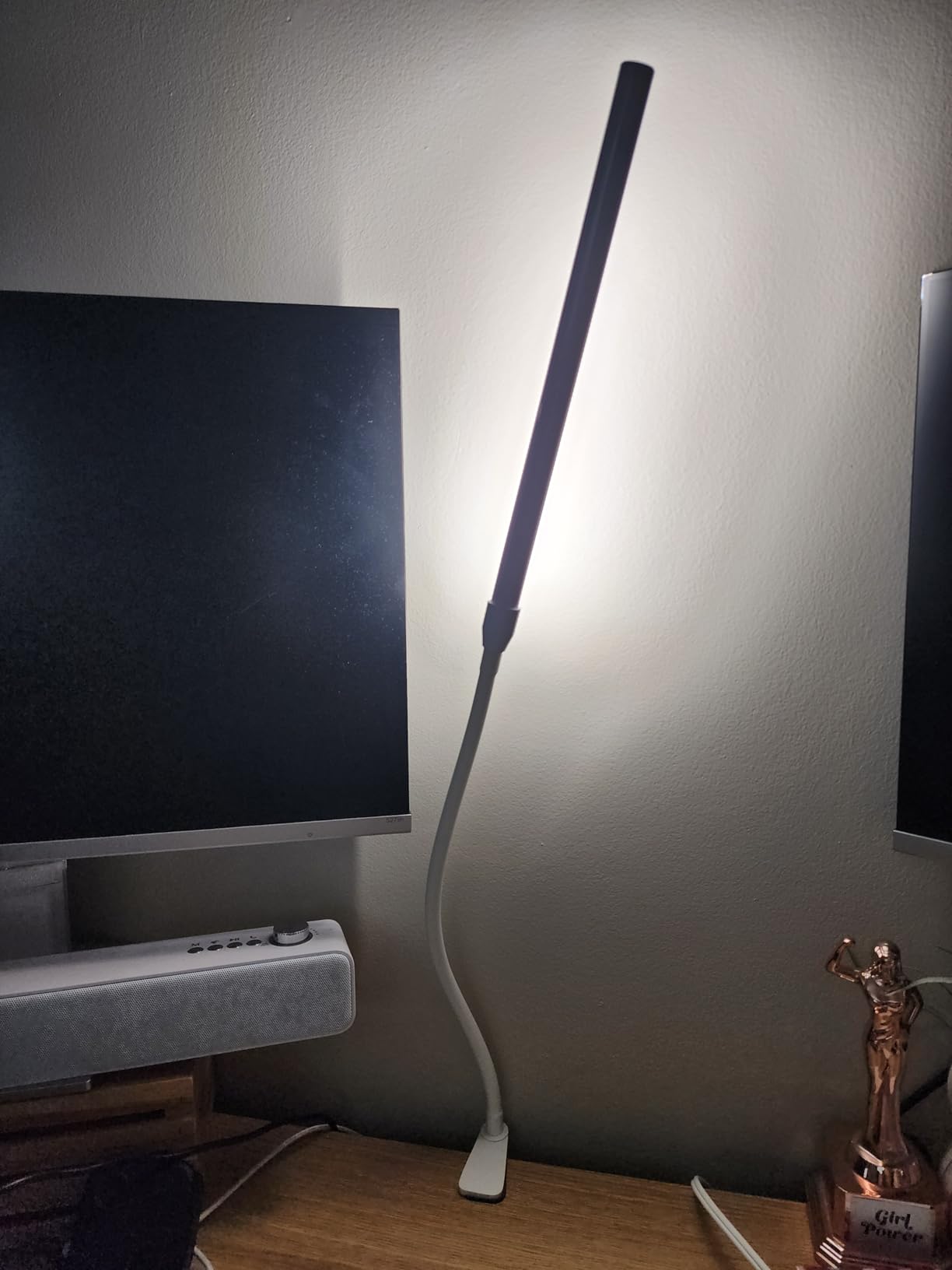 Lepro Small Desk Lamp with Clamp, LED Reading Lamps, 460LM, 5W, White customer photo 2