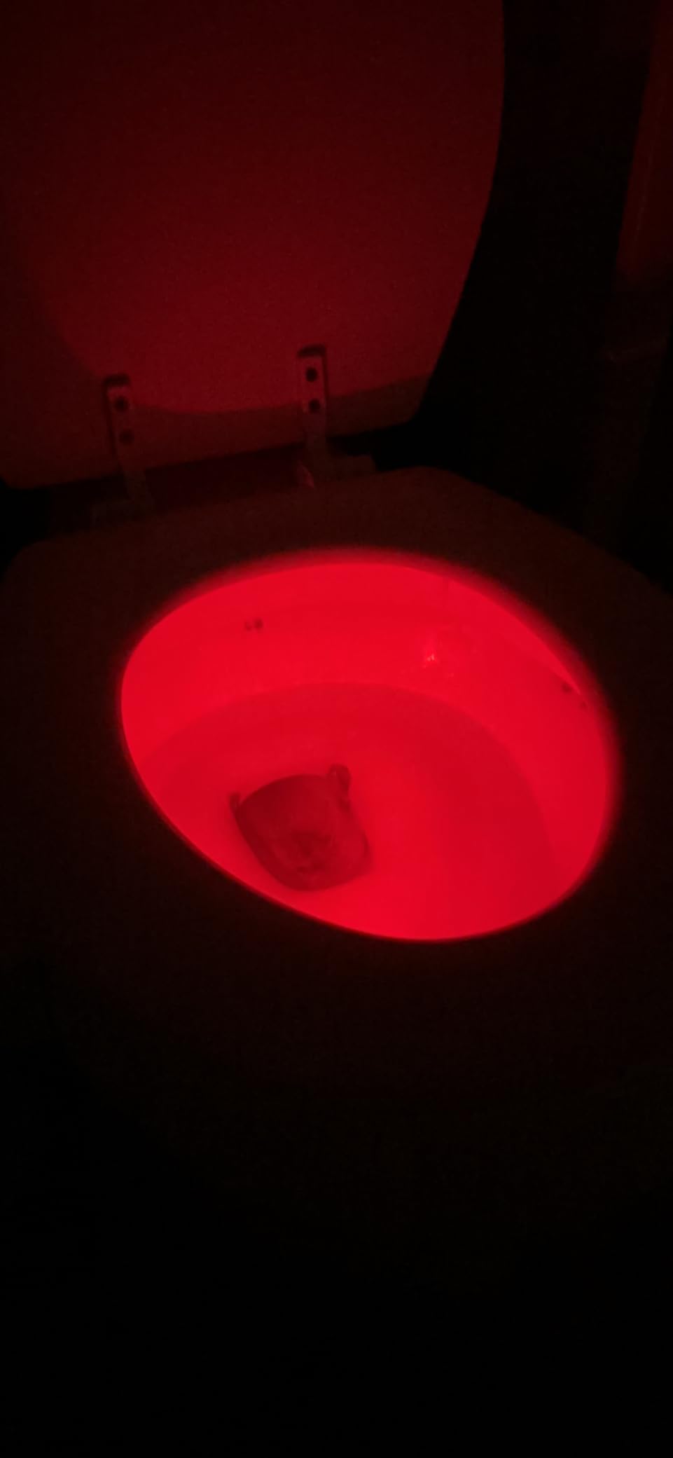 2 Pack Motion Activated Toilet Night Light, 16 Color LED customer photo 2