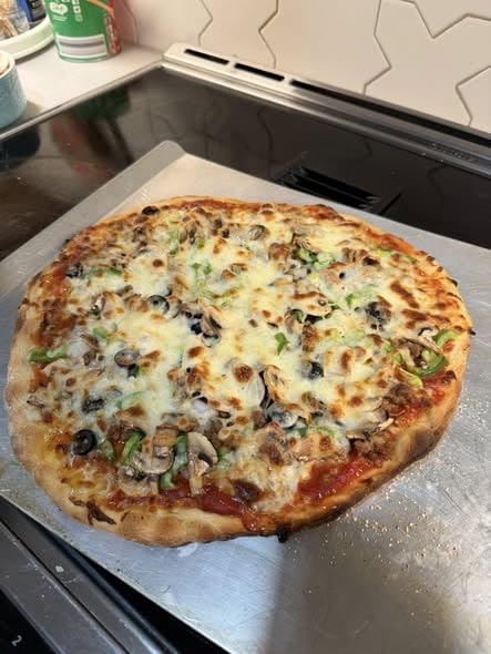 HALO Versa 16 Pizza Oven | 16” Rotating Stone, Patented Dual Burner System, 5-Minute Pizzas, Easy Clean | Propane Powered | HZ-1004-ANA customer photo 2
