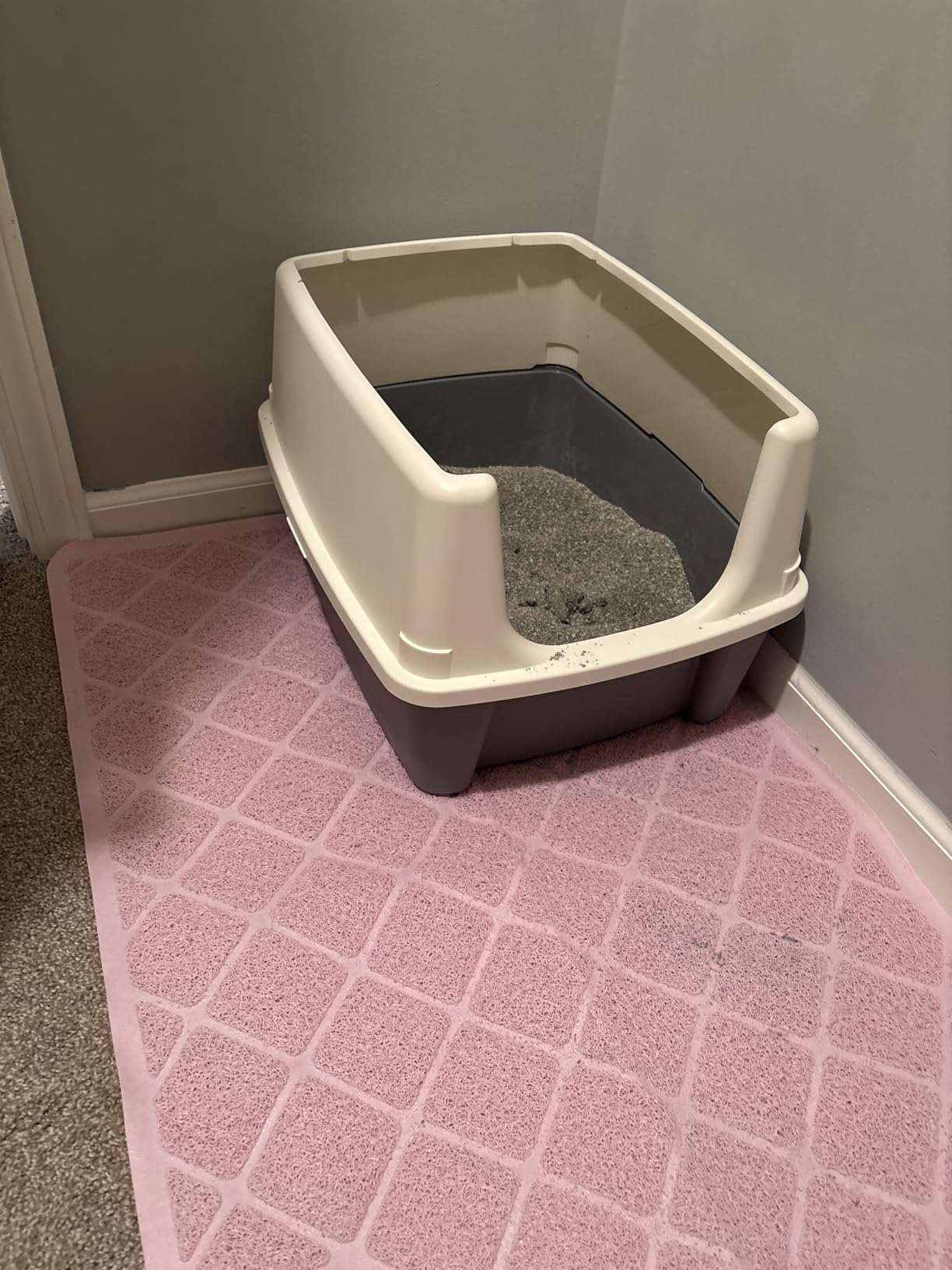 Amazon Basics Large Cat Litter Box with High Sides, Open Top for Easy Access, Includes Scoop with Storage, 19