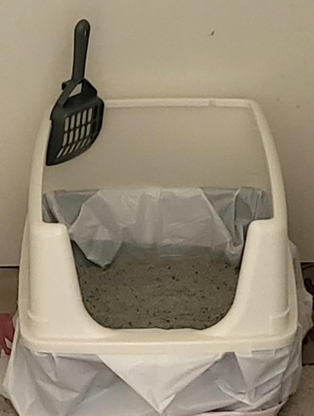 Amazon Basics Large Cat Litter Box with High Sides, Open Top for Easy Access, Includes Scoop with Storage, 19