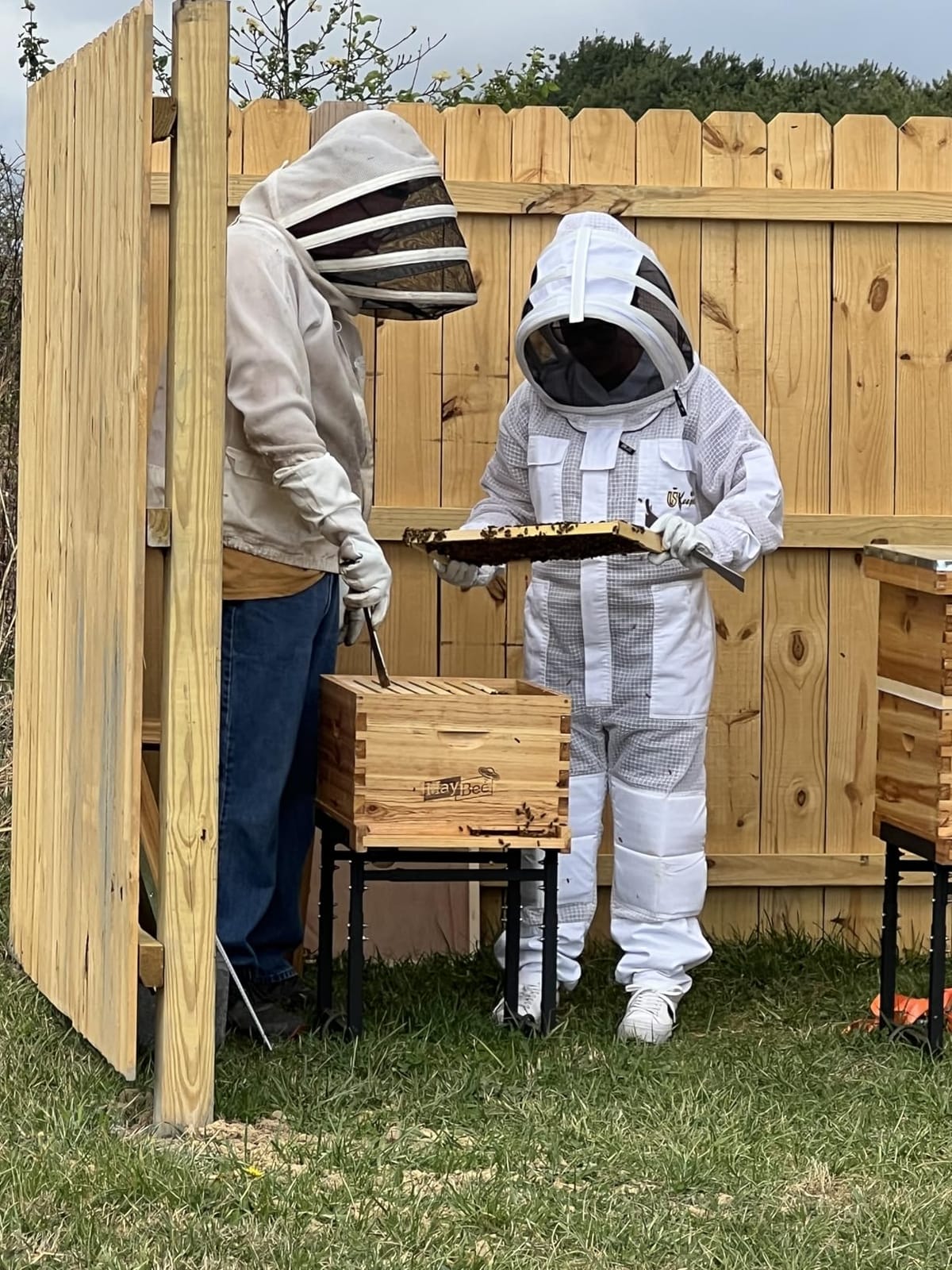 3-Layer Ultra Ventilated Sting Proof Bee Suit for Men & Women – Premium Beekeeping Suit with Bee Gloves & Two Detachable Beekeeping Veils (Brown L) customer photo 1