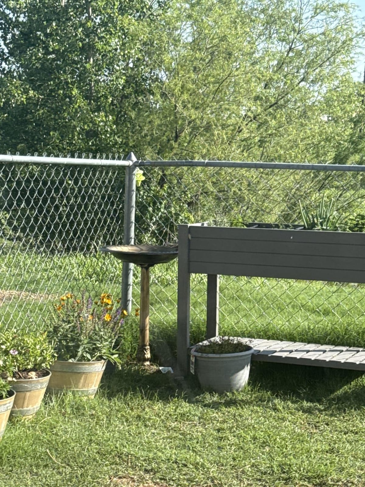 BACKYARD EXPRESSIONS PATIO · HOME · GARDEN 912449-WB Outdoor Garden Bird Bath- Bronze- Weather Resistant Polyresin-30 Inch-Backyard Expressions customer photo 1