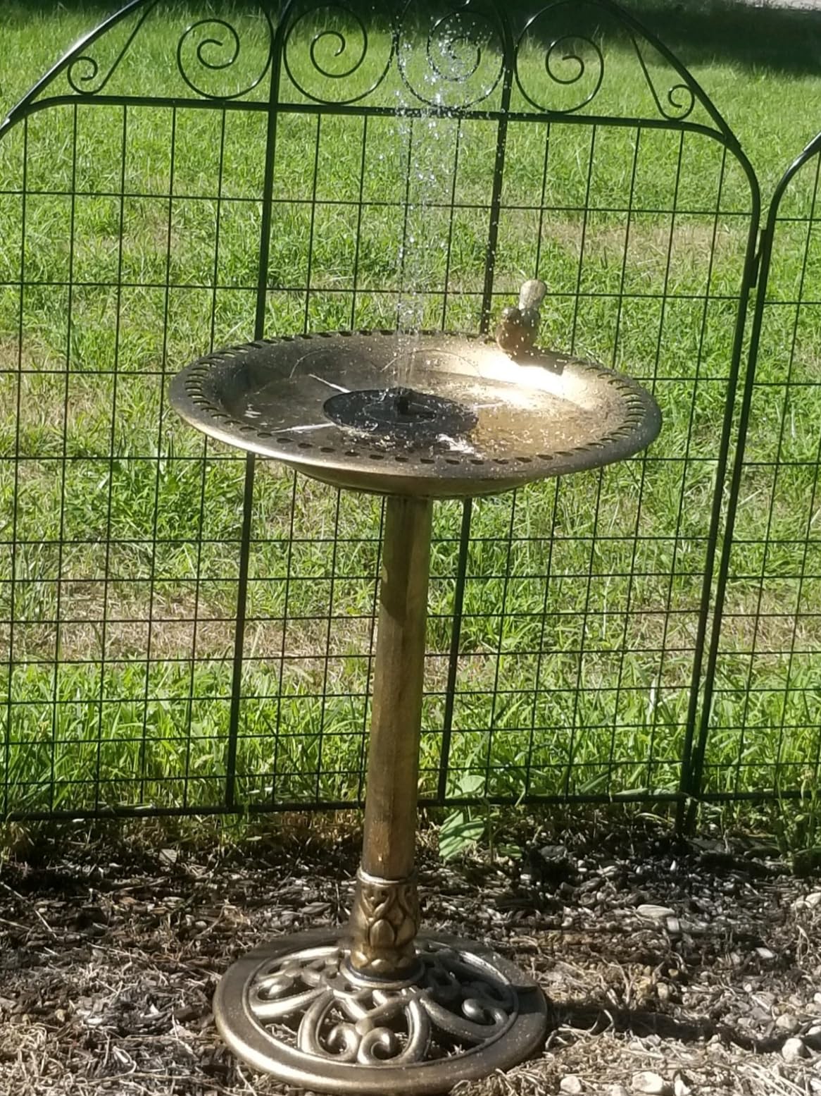 BACKYARD EXPRESSIONS PATIO · HOME · GARDEN 912449-WB Outdoor Garden Bird Bath- Bronze- Weather Resistant Polyresin-30 Inch-Backyard Expressions customer photo 2