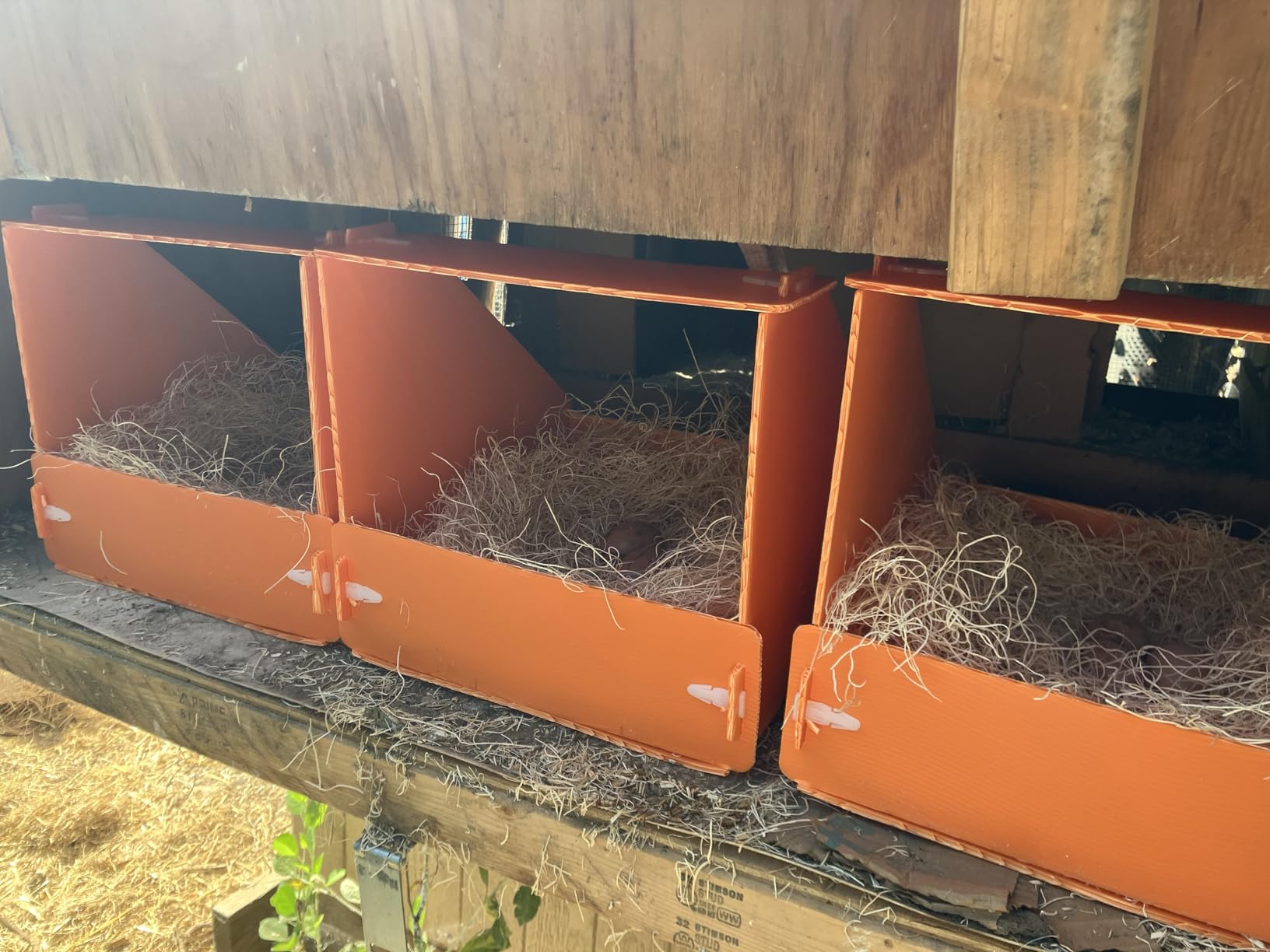 Touri 3 Pcs Chicken Nesting Boxes, Durable customer photo 2