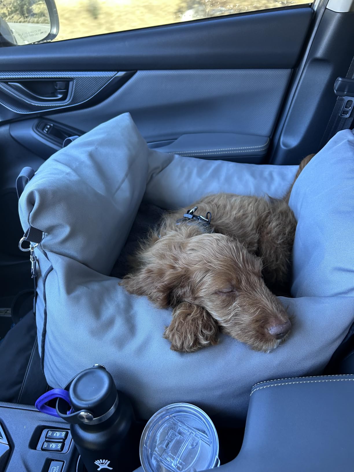 Lesure Dog Car Seat for Small Dogs,Booster Car Bed for Puppy Under 25lbs customer photo 2