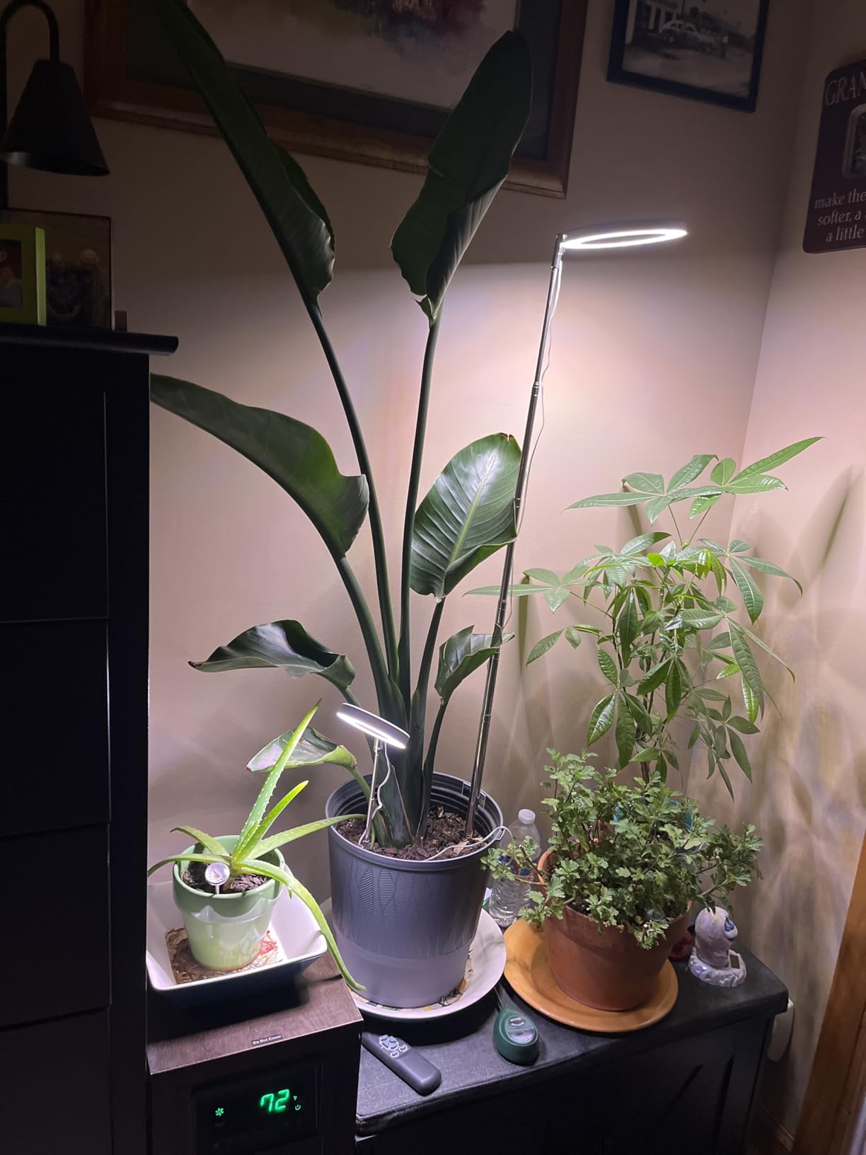 yadoker Plant Grow Light, LED Growing Light Full Spectrum for Indoor Plants,Height Adjustable, Automatic Timer, 5V Low Safe Voltage,Idea for Large Plant Light customer photo 1