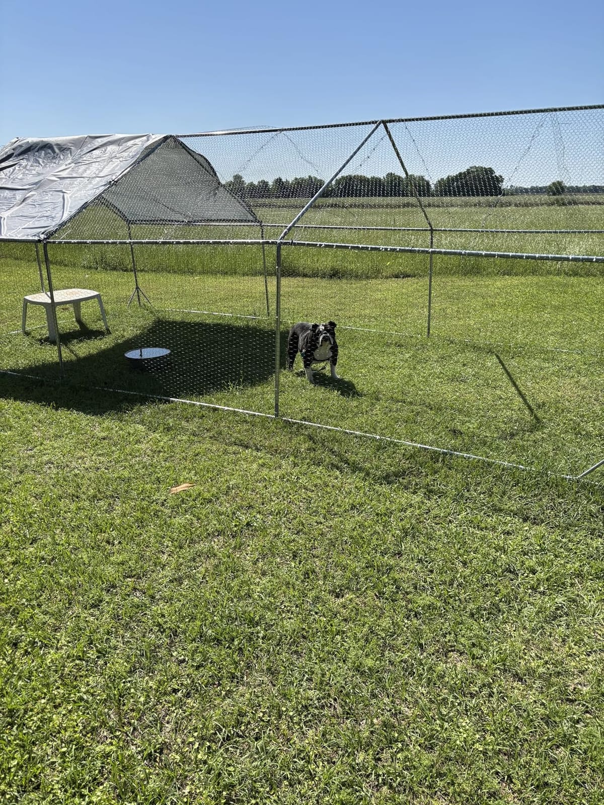 Large Metal Chicken Run Walk-in Poultry Cage Spire-Shaped Chicken Coop with Waterproof and Anti-Ultraviolet Cover for Outside,Backyard and Farm,19.6' L x 9.8' W x 6.4' H customer photo 1