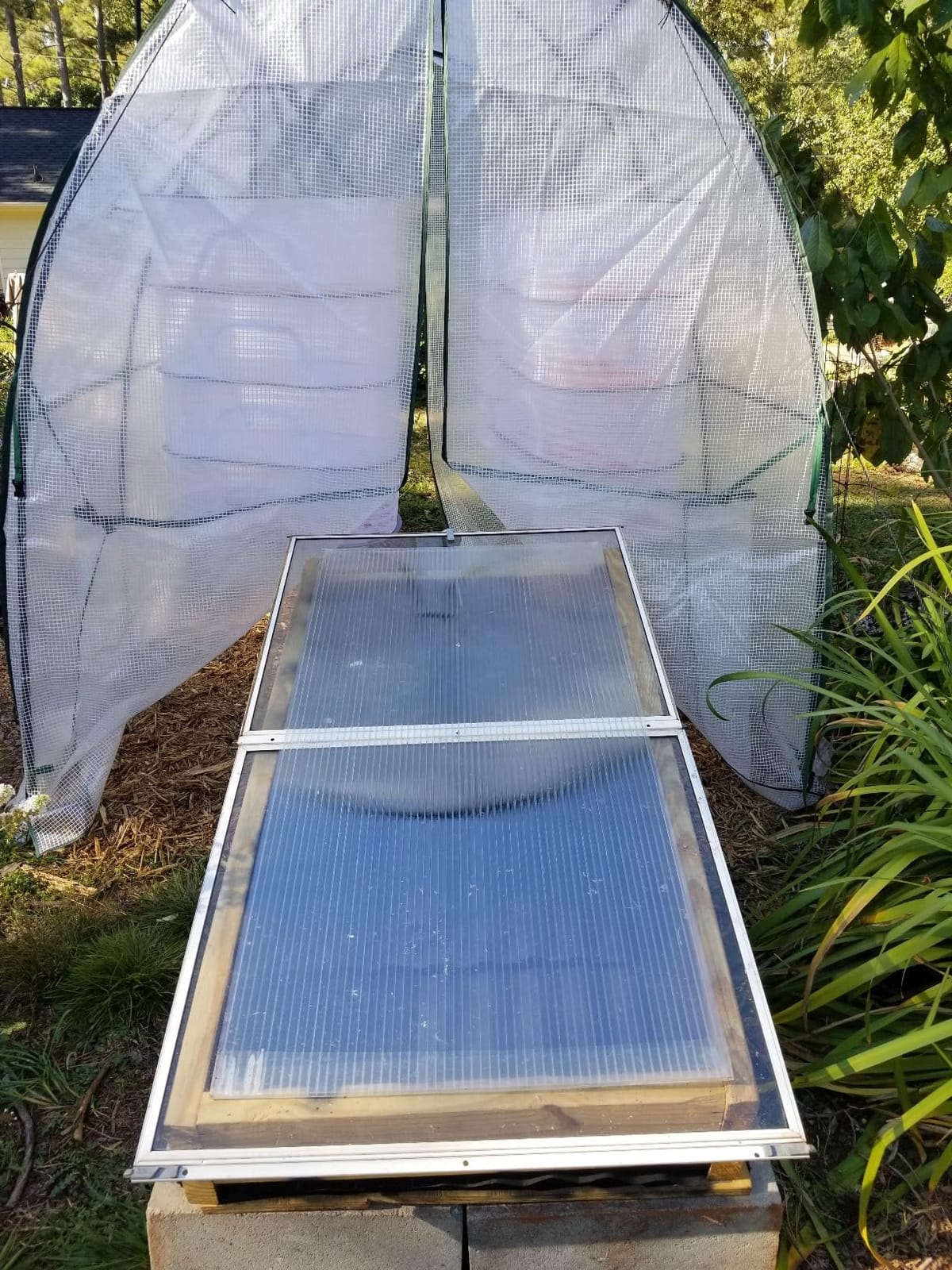 Ohuhu Portable Tunnel Greenhouse Outdoor: Heavy Duty Walk in Green House with Mesh Windows Durable Plastic PE Cover for Outside, 5.9x5.9x6.6 FT, White customer photo 2