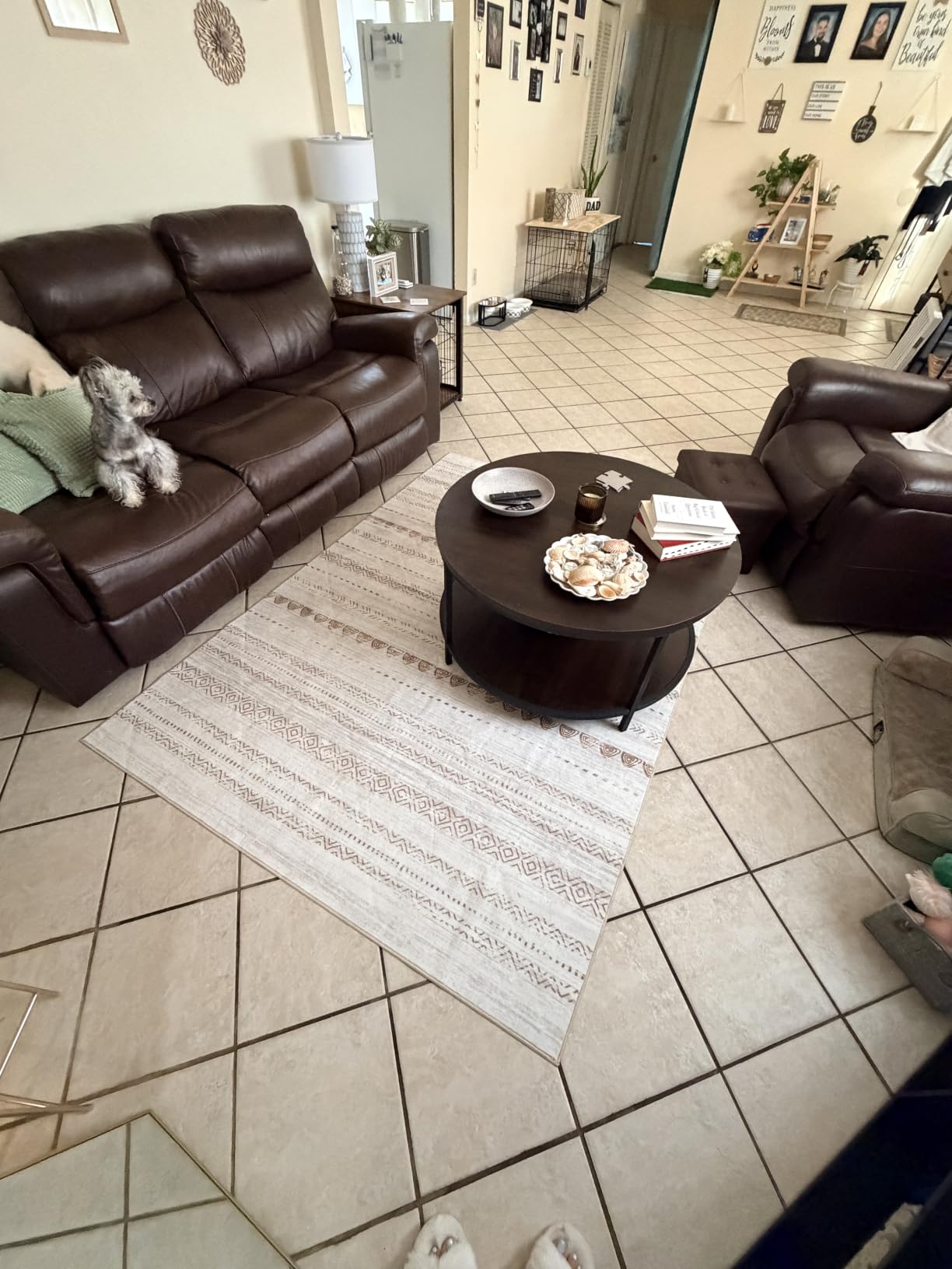 Nakagishi Boho 5x7 Area Rug Living Room Rugs Machine Washable Beige/Brown | Soft, Pet & Kid Friendly, Carpet for Living Room/Bedroom/Office/Kitchen/Nursery, Daily Home Decor Stain Resistant Moroccan customer photo 2