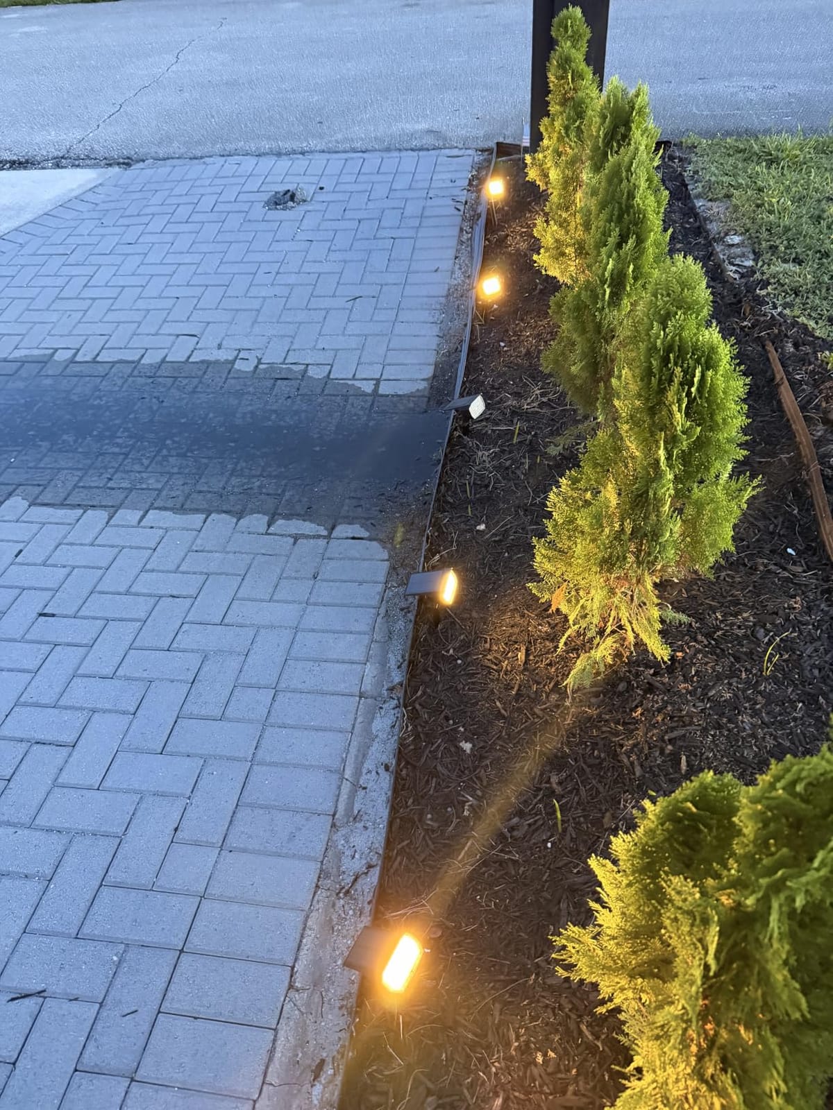 WENATY Solar Spot Lights Outdoor Waterproof Spotlights 12 Pack Warm White | 46LED, 3 Mode, Auto On/Off Landscape Spotlights Solar Powered Flood Lights for Outside Pathway Yard Garden House Walkway Tree customer photo 2