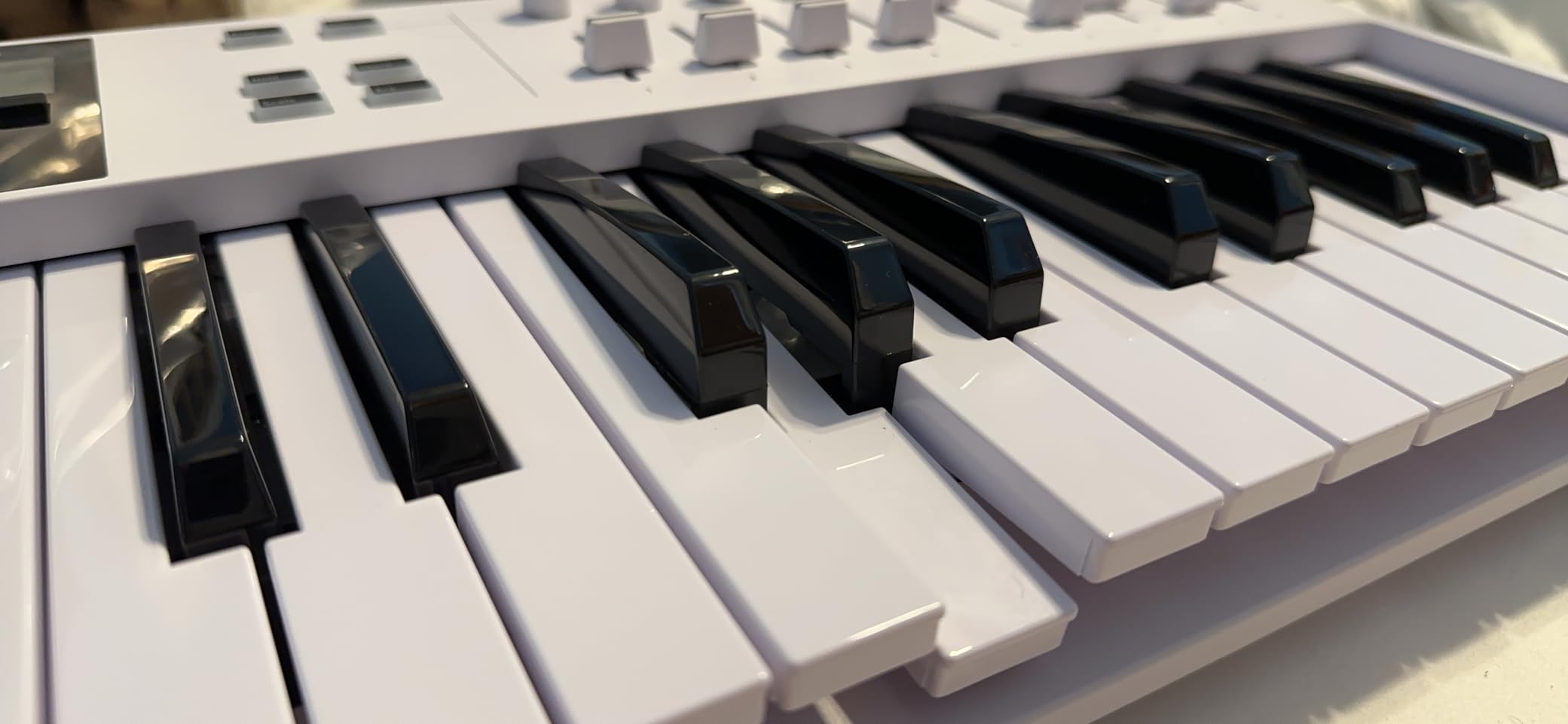 Arturia KeyLab Essential mk3 — 49 Key USB MIDI Keyboard Controller with Analog Lab V Software Included customer photo 2