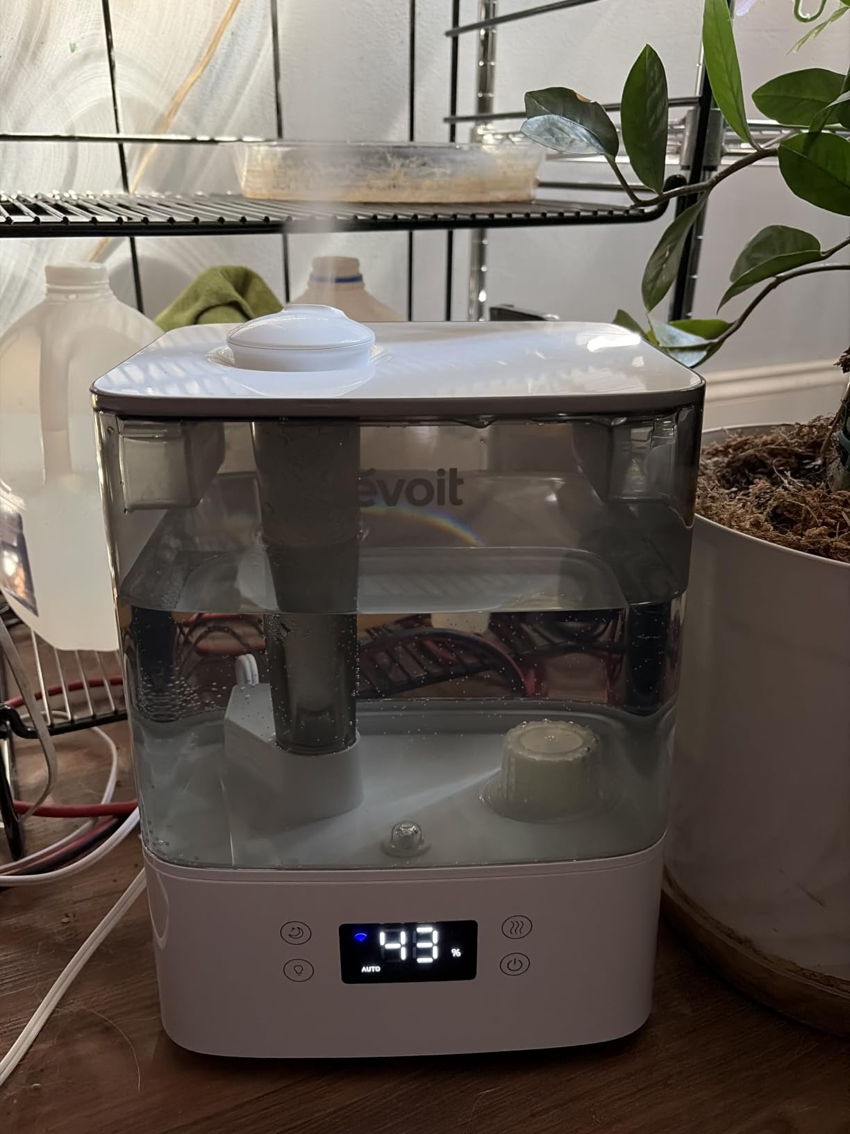 Levoit 6L Smart Warm and Cool Mist Humidifiers for Home Bedroom, 60H customer photo 2