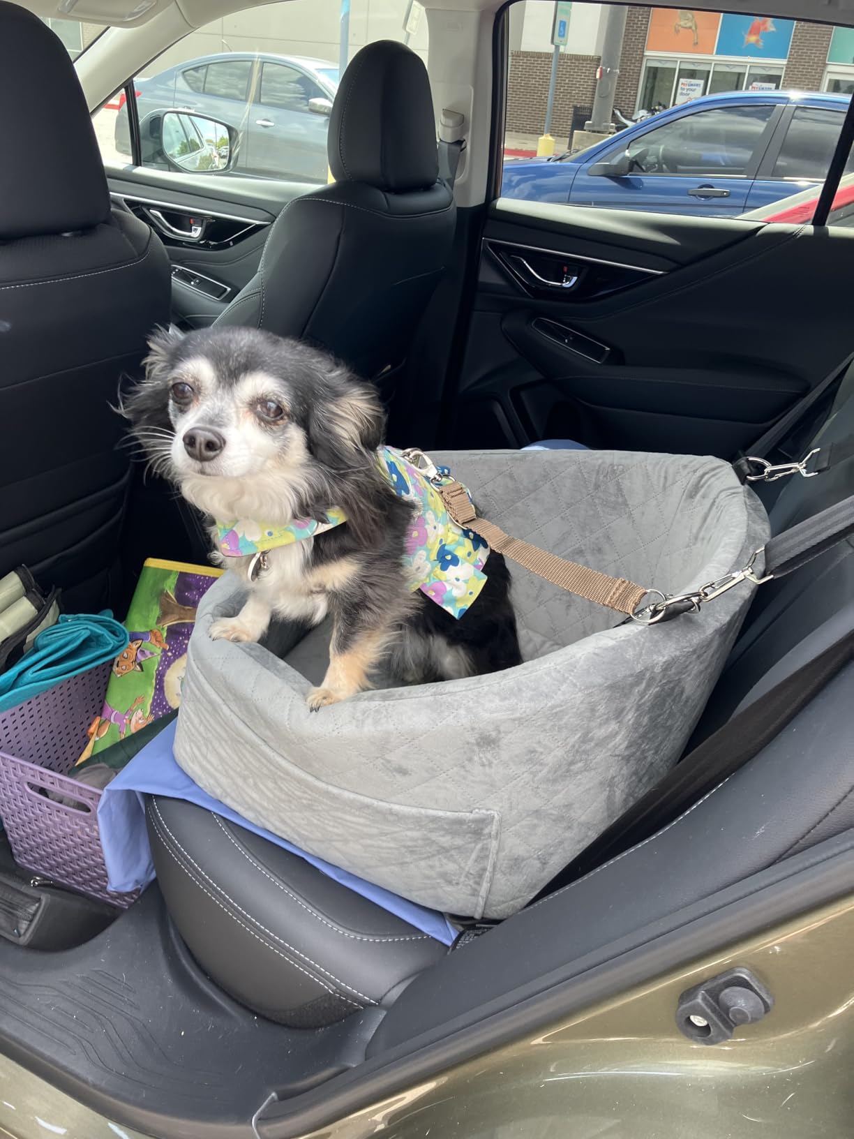 NEEZUKAR Dog Car Seat for Small Dogs,Detachable Washable Dog Booster Seat Under 30lbs, Pet Car Seat Travel Bed with Storage Pockets and Dog Safety Belt (Black/Grey) customer photo 1