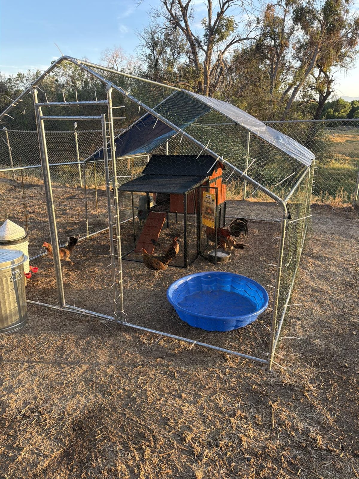 HITTITE Large Metal Chicken Coop with Run, 9.84 x 6.4 x 6.56 ft Walk in Poultry Cage Chicken Run Pen, Outdoor Chicken Runs for Yard with Waterproof & Anti-UV Cover customer photo 1