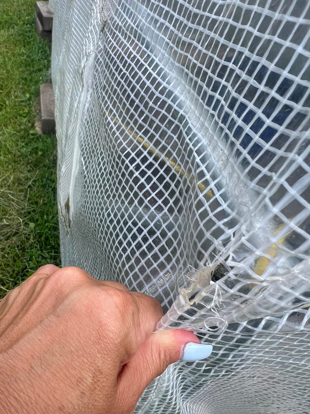 KANAGAWA 10'x7'x 7' Walk-in Tunnel Greenhouse with Watering System Heavy Duty Portable Green House Protect Gardening Plants 1 Zipper Mesh Door, 6 Roll-up Windows, Thickened galvanised Steel,White customer photo 2