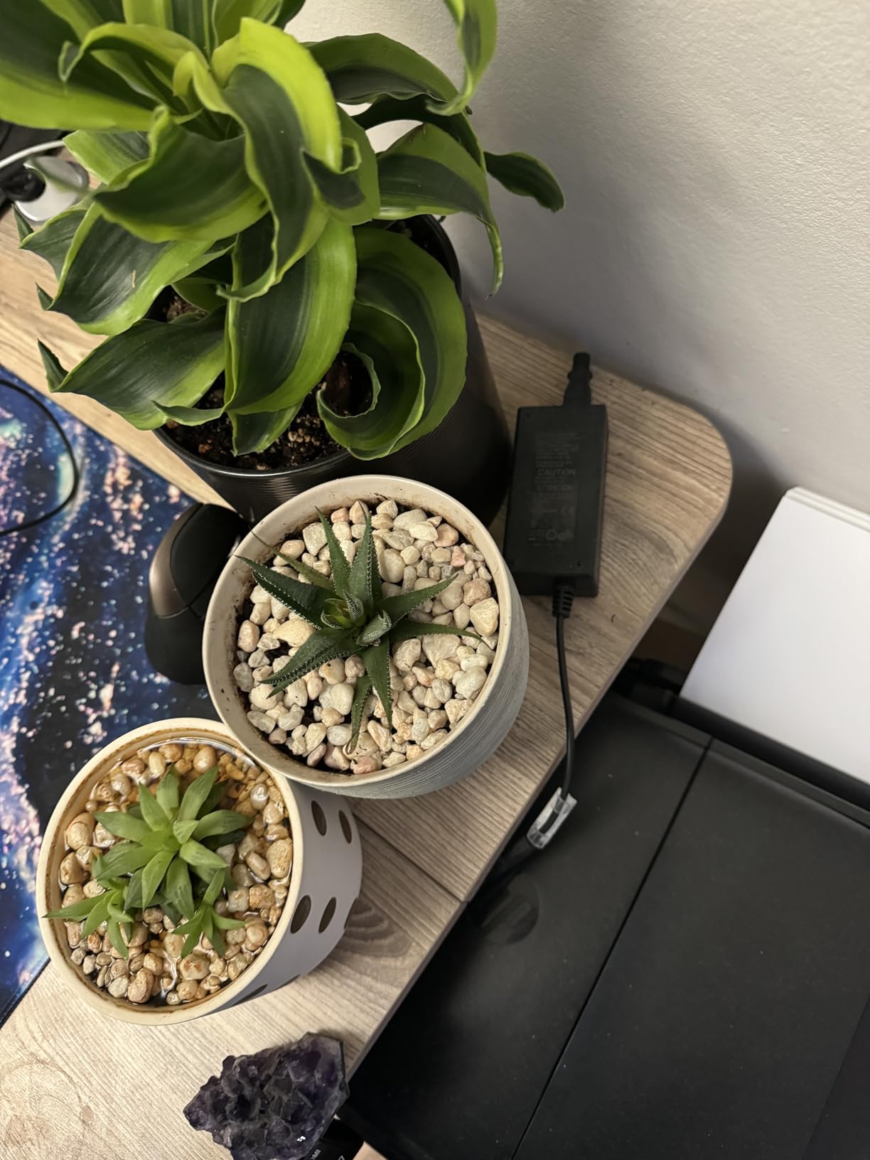Monomi Electric Standing Desk 63
