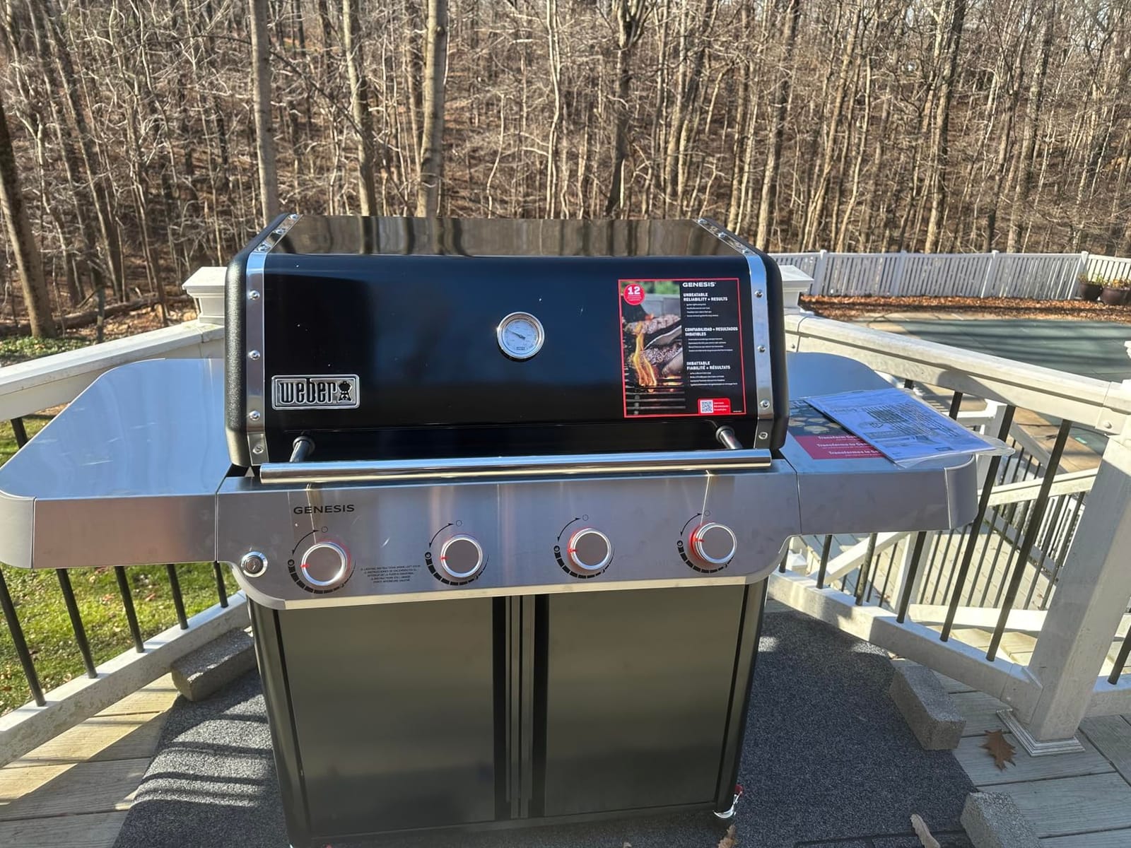 Weber® Genesis E-415 Gas Grill for Outdoor Cooking, Propane Grill, Black customer photo 1