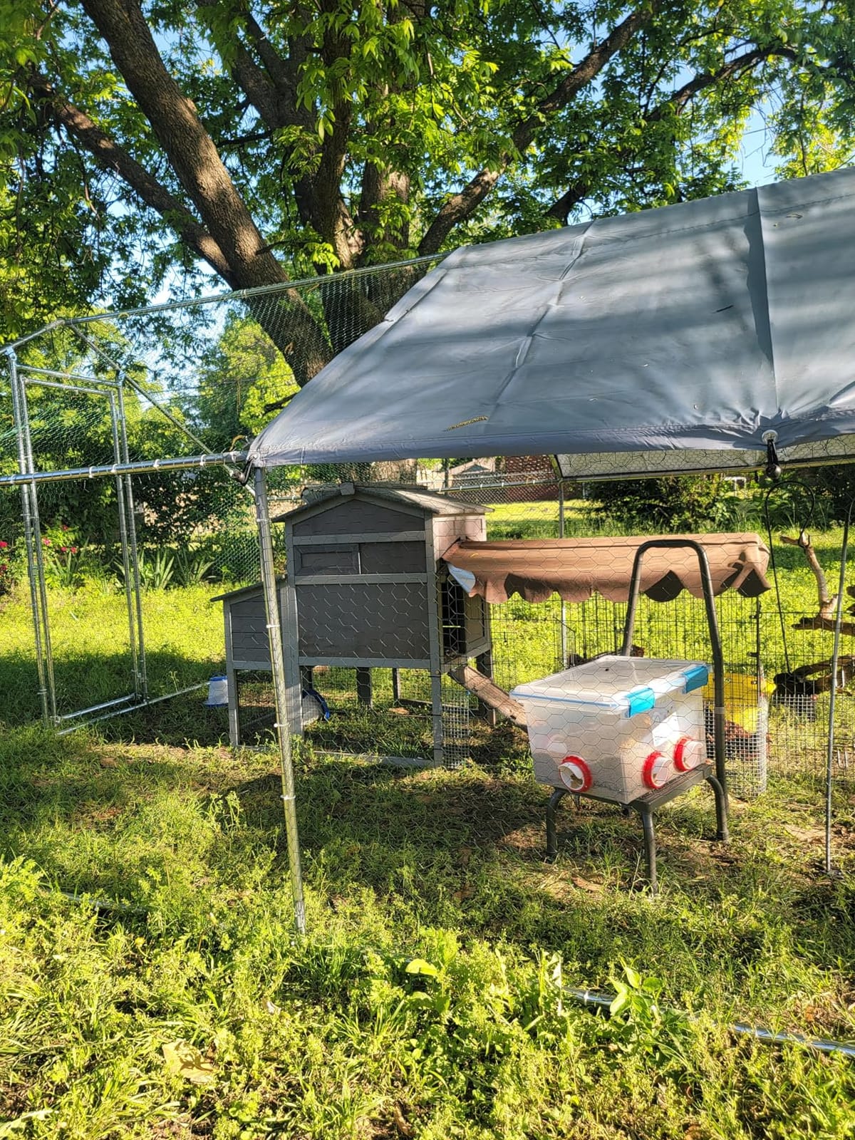 Outdoor Metal Chicken Coop Large Walk-in Poultry Cage Spire-Shaped Chicken Run with Waterproof and Anti-Ultraviolet Cover for Outside,Backyard and Farm,13' L x 9.8' W x 6.4' H customer photo 1
