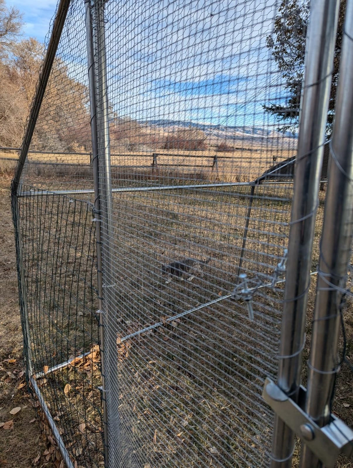 NUGRIART Large Metal Chicken Coop Walk-in Poultry Cage with Water-Resident and Anti-UV Cover Duck Rabbit Cat House Outdoor Chicken Run Pen with Spire Shaped Cage customer photo 2