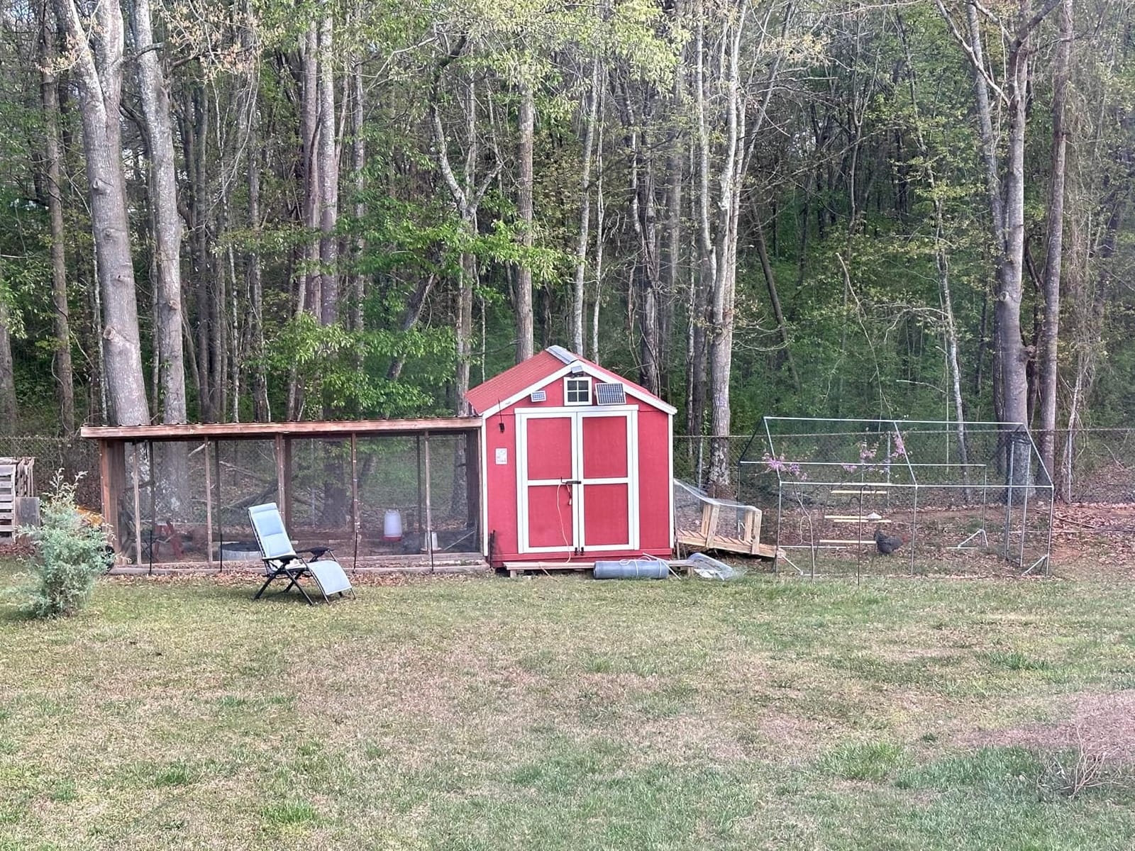 Quictent Large Metal Chicken Coop Run for 30+ Poultry w/Side Hardware Cloth customer photo 1