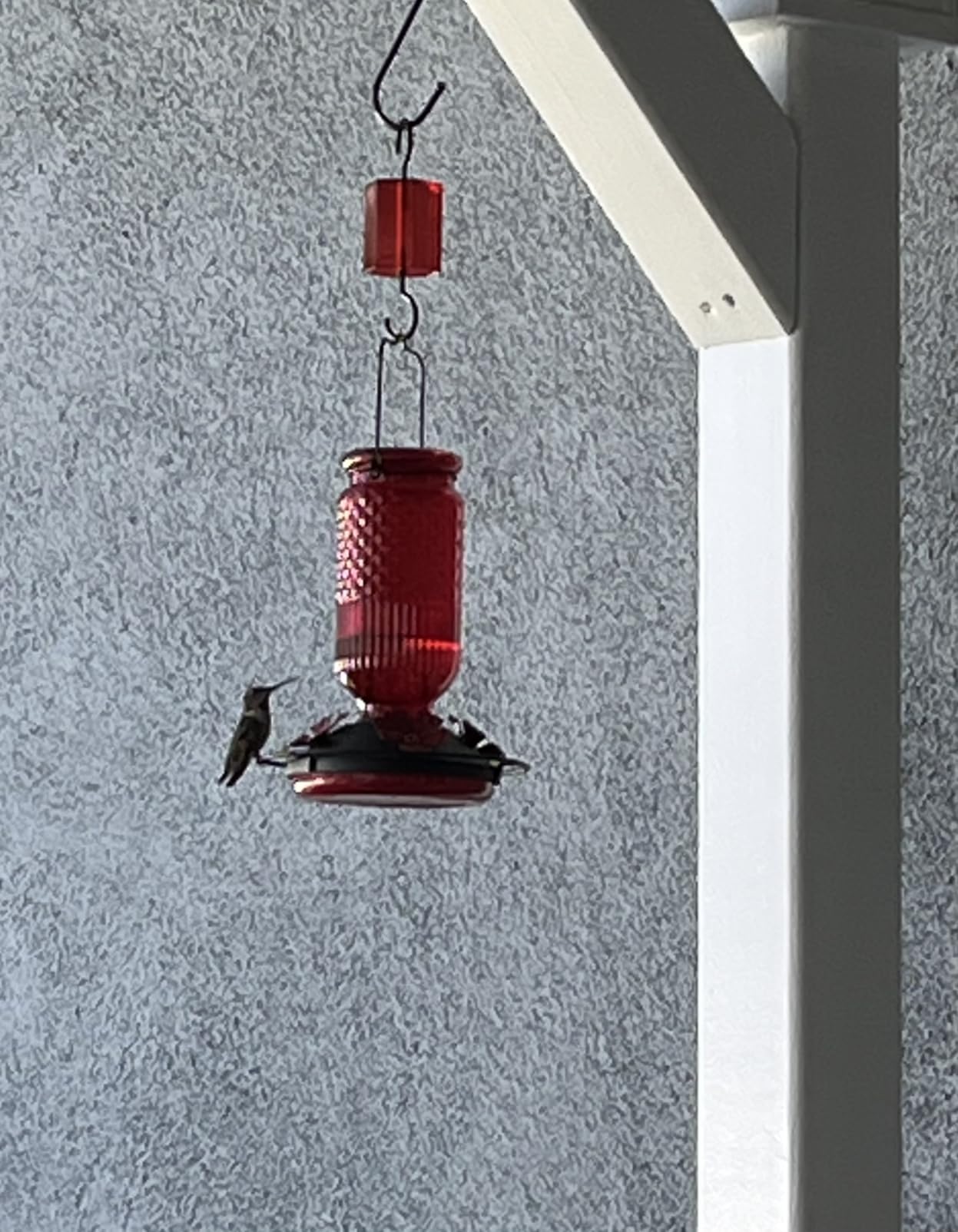 FEED GARDEN Glass Hummingbird Feeder for Outdoors Hanging, 16 oz Leak-Proof Nectar Feeder with Bee Guards & Ant Moat, 4 Metal Flower Feeding Ports, 360° Perch Ring, Easy Refill & Clean, Red customer photo 1