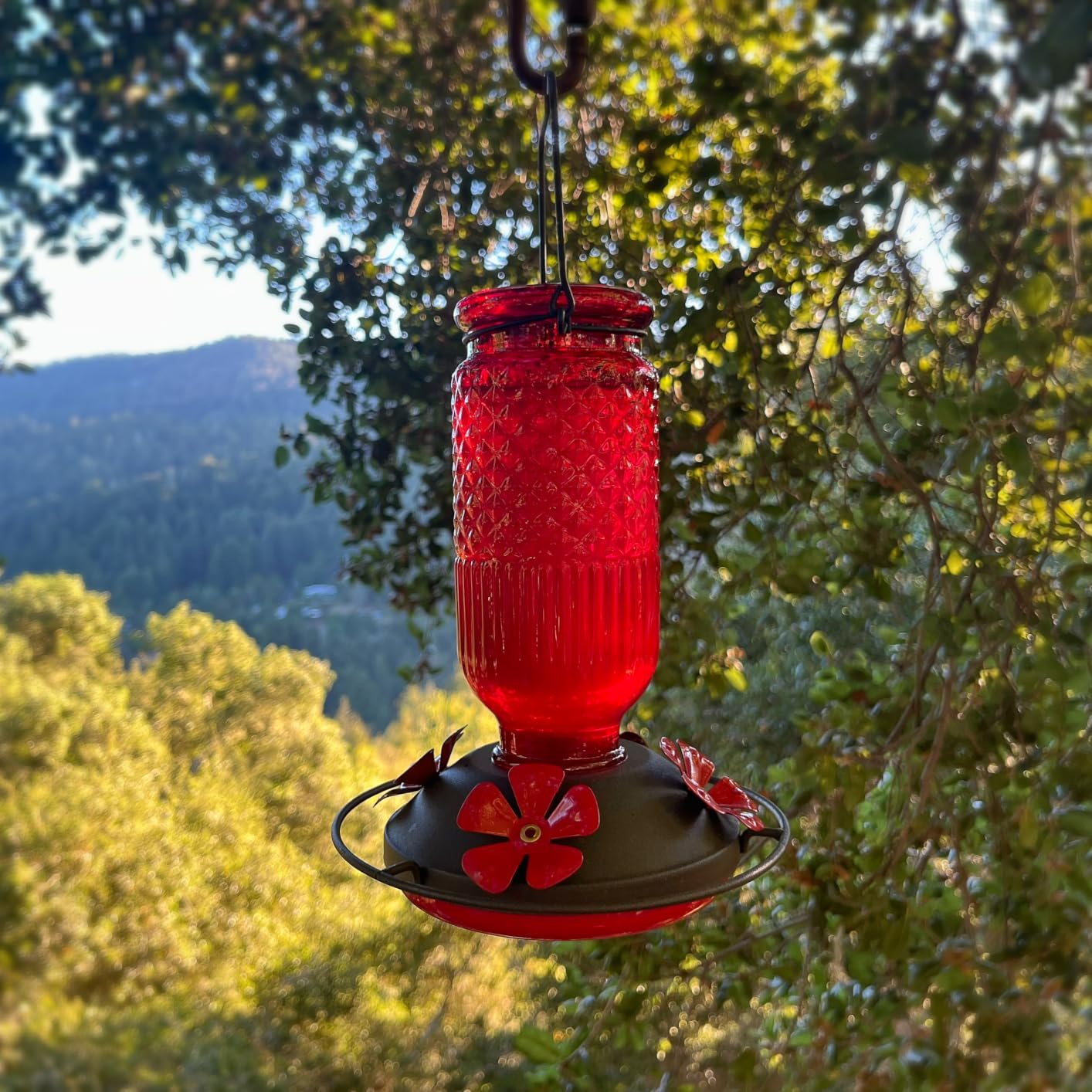 FEED GARDEN Glass Hummingbird Feeder for Outdoors Hanging, 16 oz Leak-Proof Nectar Feeder with Bee Guards & Ant Moat, 4 Metal Flower Feeding Ports, 360° Perch Ring, Easy Refill & Clean, Red customer photo 2