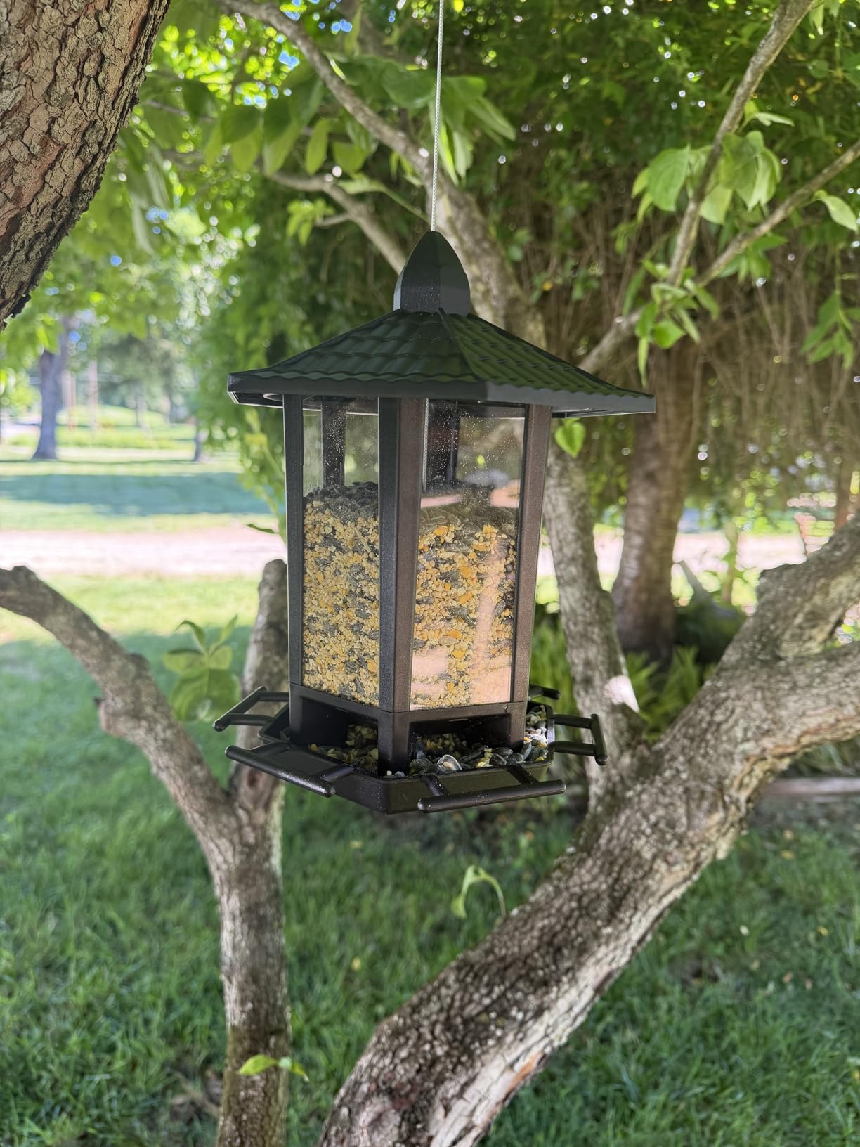 Birdream 2 Pack Bird Feeders for Outdoor Hanging, Retro Pagoda Design Fun Installation Bird Feeder, Attracting Wild Birds Chickadees Goldfinches Cardinals Finches and Sparrows customer photo 2