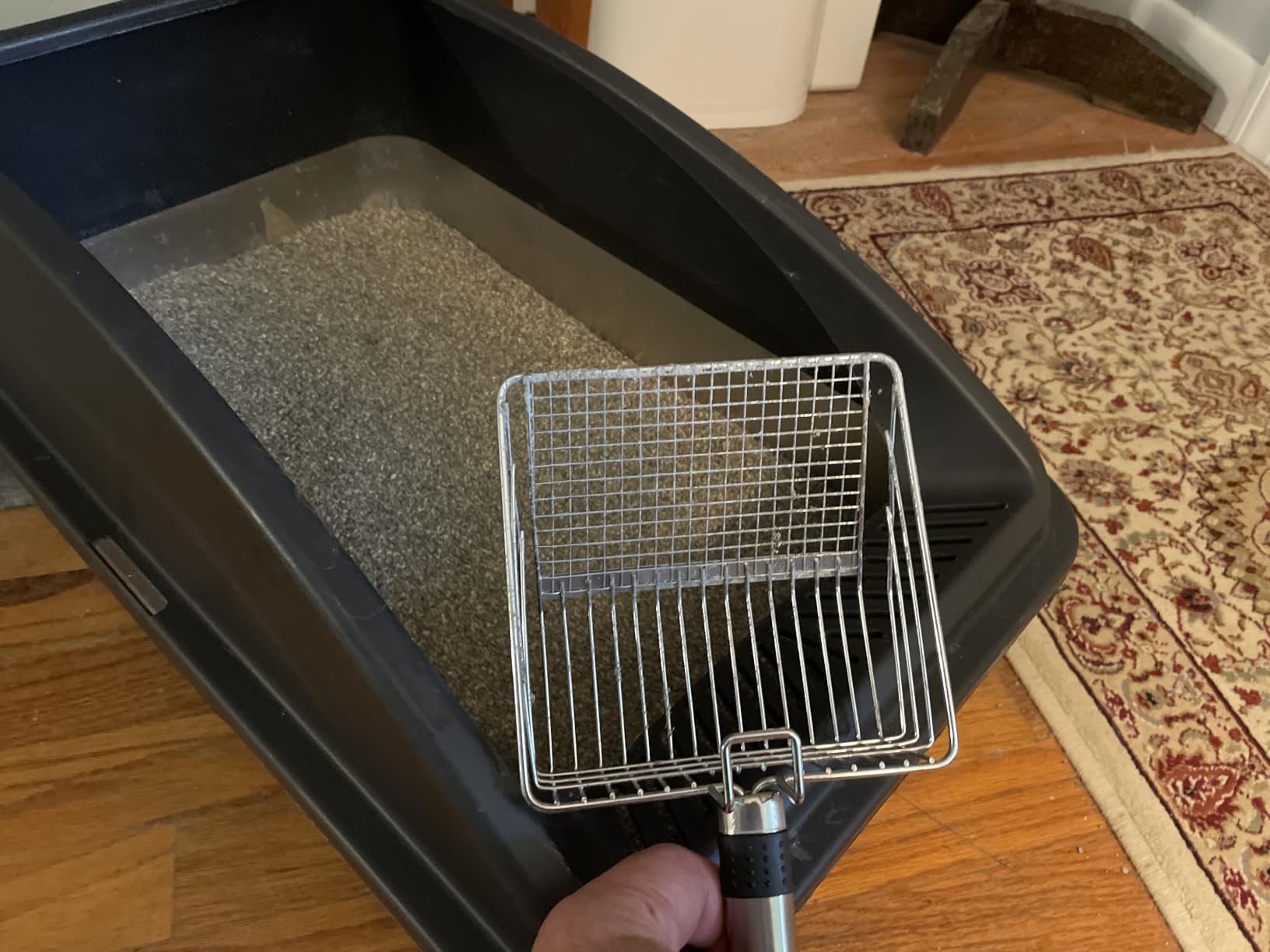 AIPERRO Stainless Steel Litter Box | XL Enclosed Cat Litter Boxes with Lid customer photo 1