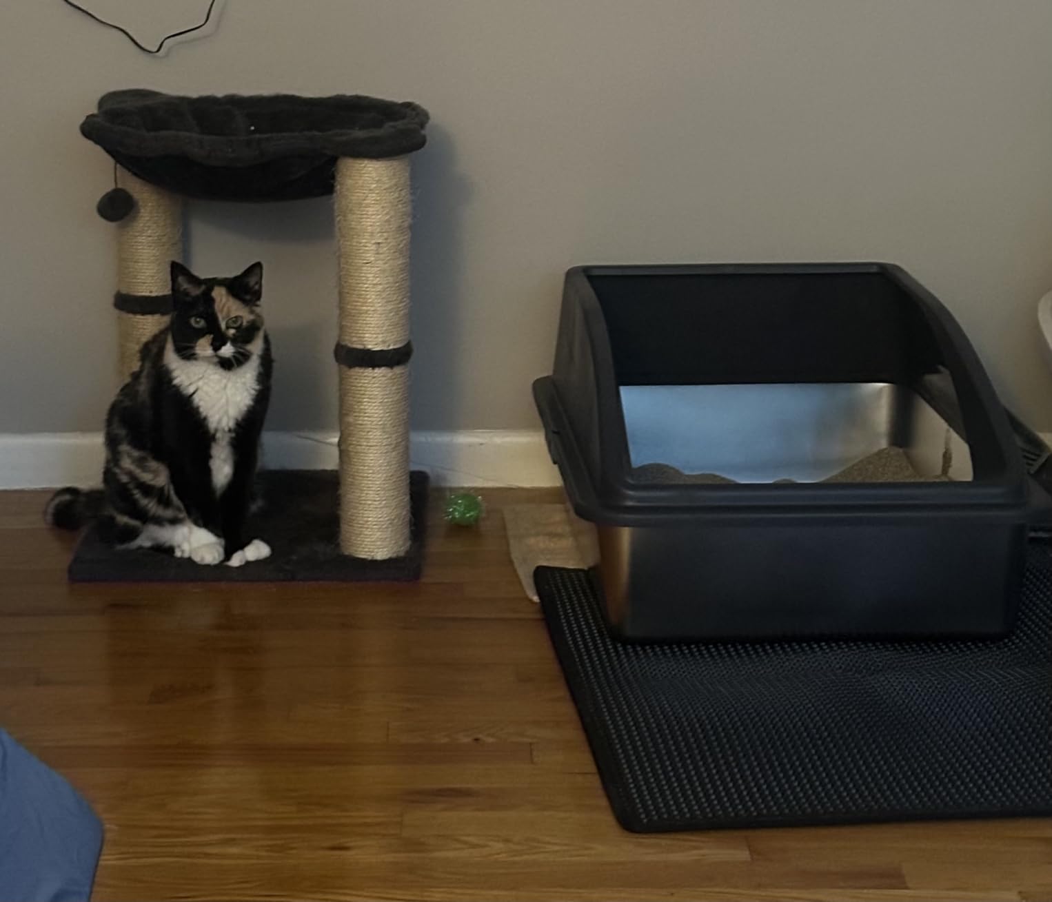 AIPERRO Stainless Steel Litter Box | XL Enclosed Cat Litter Boxes with Lid customer photo 2