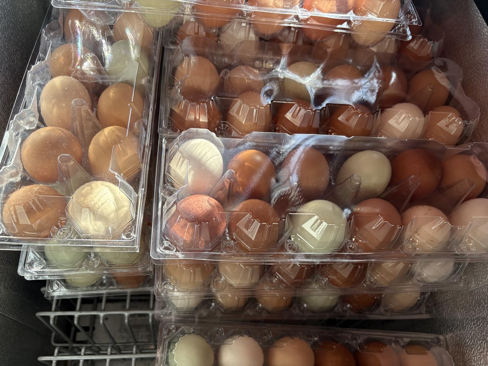 SINLUCESCE 60 Packs Egg Cartons Cheap Bulk, Plastic for 12 Eggs, Clear Egg Cartons 2 x 6 Grids, Perfect for Refrigerator Family Farm Commercial Business Market Display customer photo 1