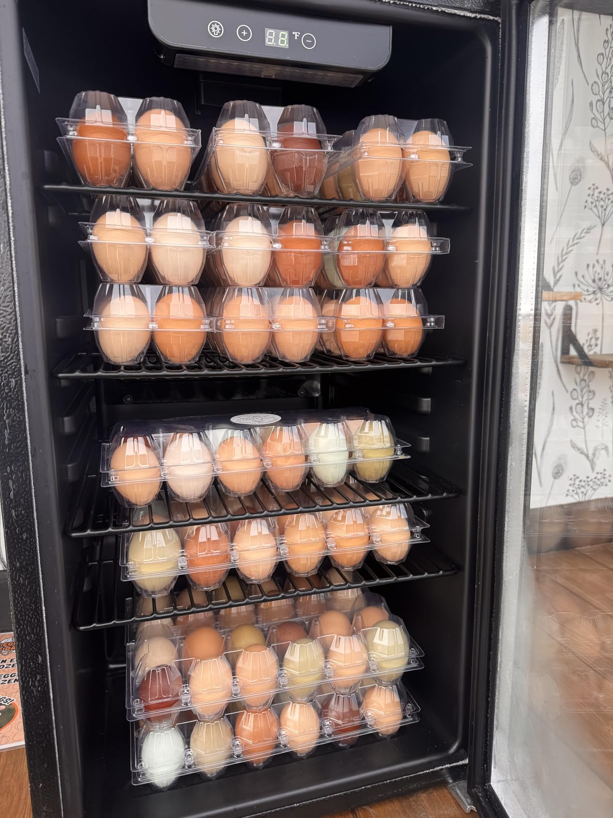 SINLUCESCE 60 Packs Egg Cartons Cheap Bulk, Plastic for 12 Eggs, Clear Egg Cartons 2 x 6 Grids, Perfect for Refrigerator Family Farm Commercial Business Market Display customer photo 2